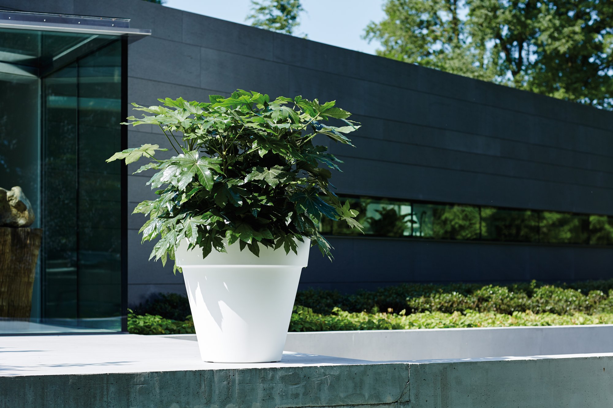 Elho Pure Round 80cm Vasi per Piante - Anthracite | ∅ 76.5 x A 70 cm