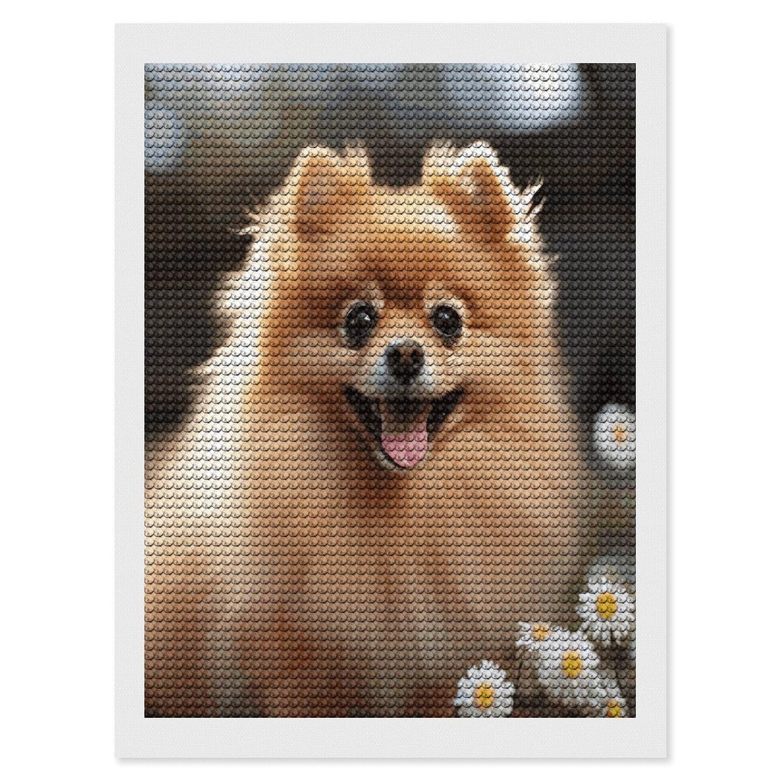 VstaDank Pomeranian Dog Diamond Painting Kits Exquisite DIY Full Round Drill Diamond Dots Painting for Adults Beginner Diamond Photo Paint with Diamond Picture Art Wall Decor 12"x16"