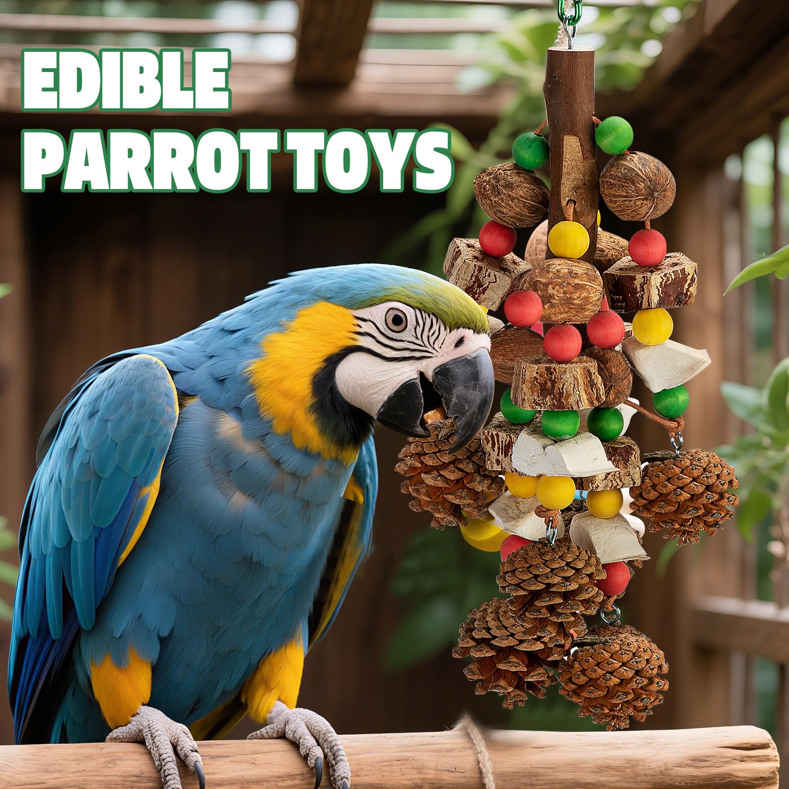 Newsmy Parrot Chewing Toys, Nuts Parrot Toys Supplement Calcium, Containing Natural Materials, Cuttlefish Bone - Image 2