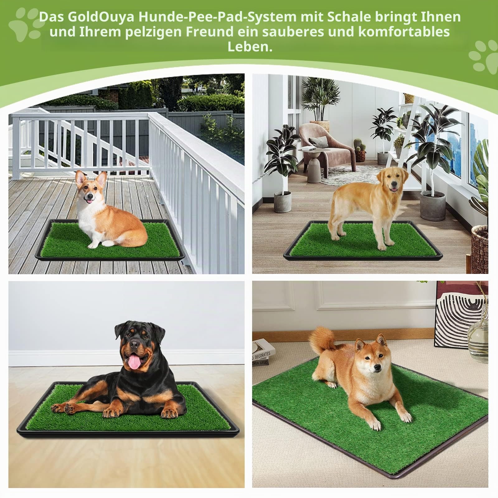 60 x 90 cm Hundegras-Pad mit Tablett für Innen-und Außenbereich,große Hunde-Töpfchentraining ist EIN komplettes Töpfchensystem Gras-Pinkelpads für Hunde mit Tablett ist wiederverwendbar