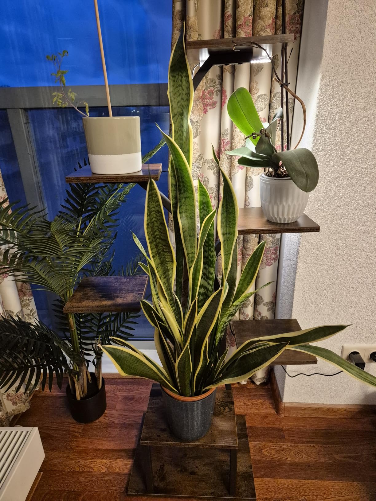 Customer photo