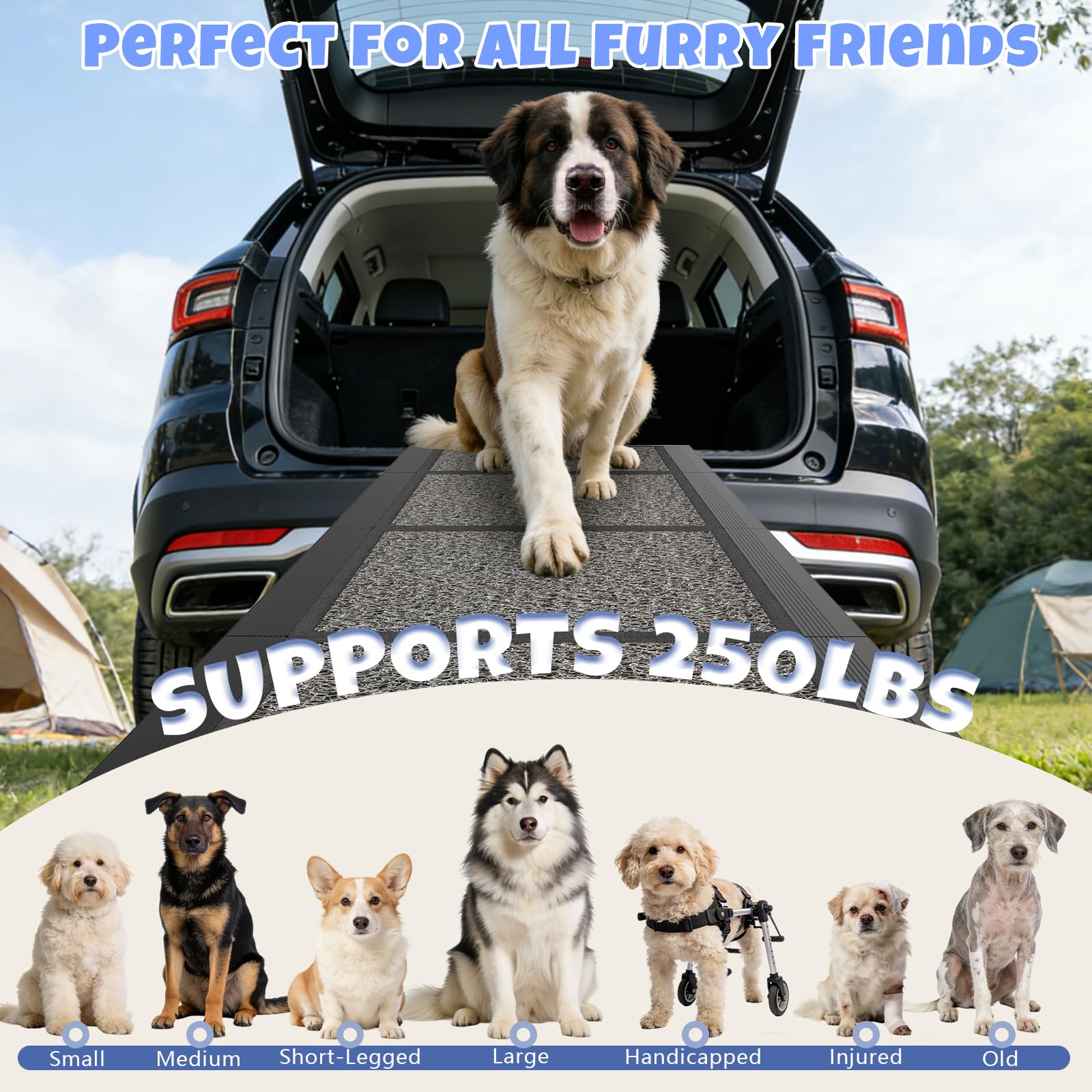 Rampe pour chien pour voiture - 160 x 43,2 cm - Rampe pliable pour grands chiens avec surface antidérapante - Rampe de voiture portable pour SUV, voiture et camion