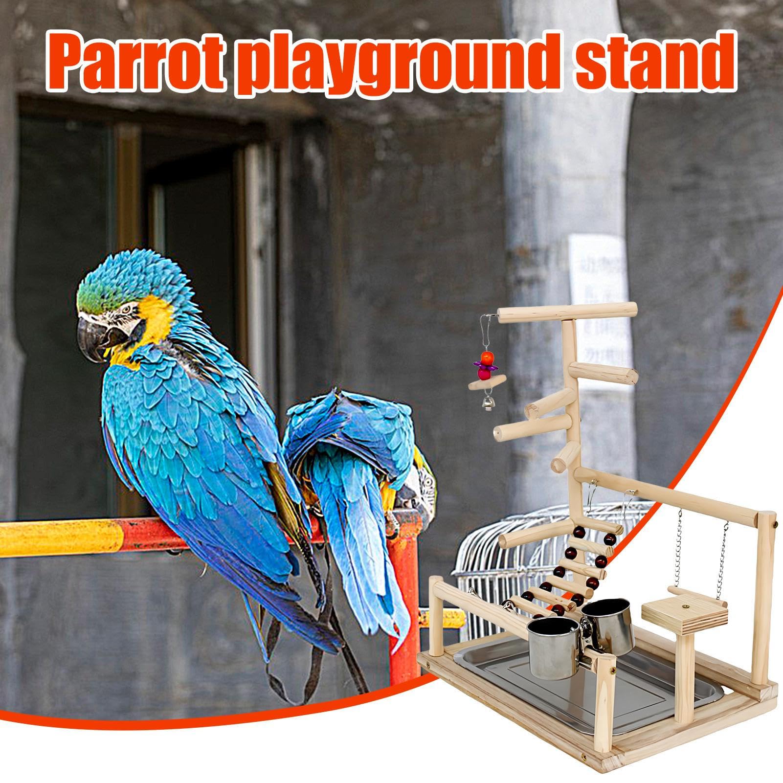 Support pour Oiseaux Perroquet Bois Naturel chêne Acier Inoxydable | résistant plate-forme escaliers balançoire gym exercice 37 x 26 x 44 cm pour petits perroquets animaux domestiques