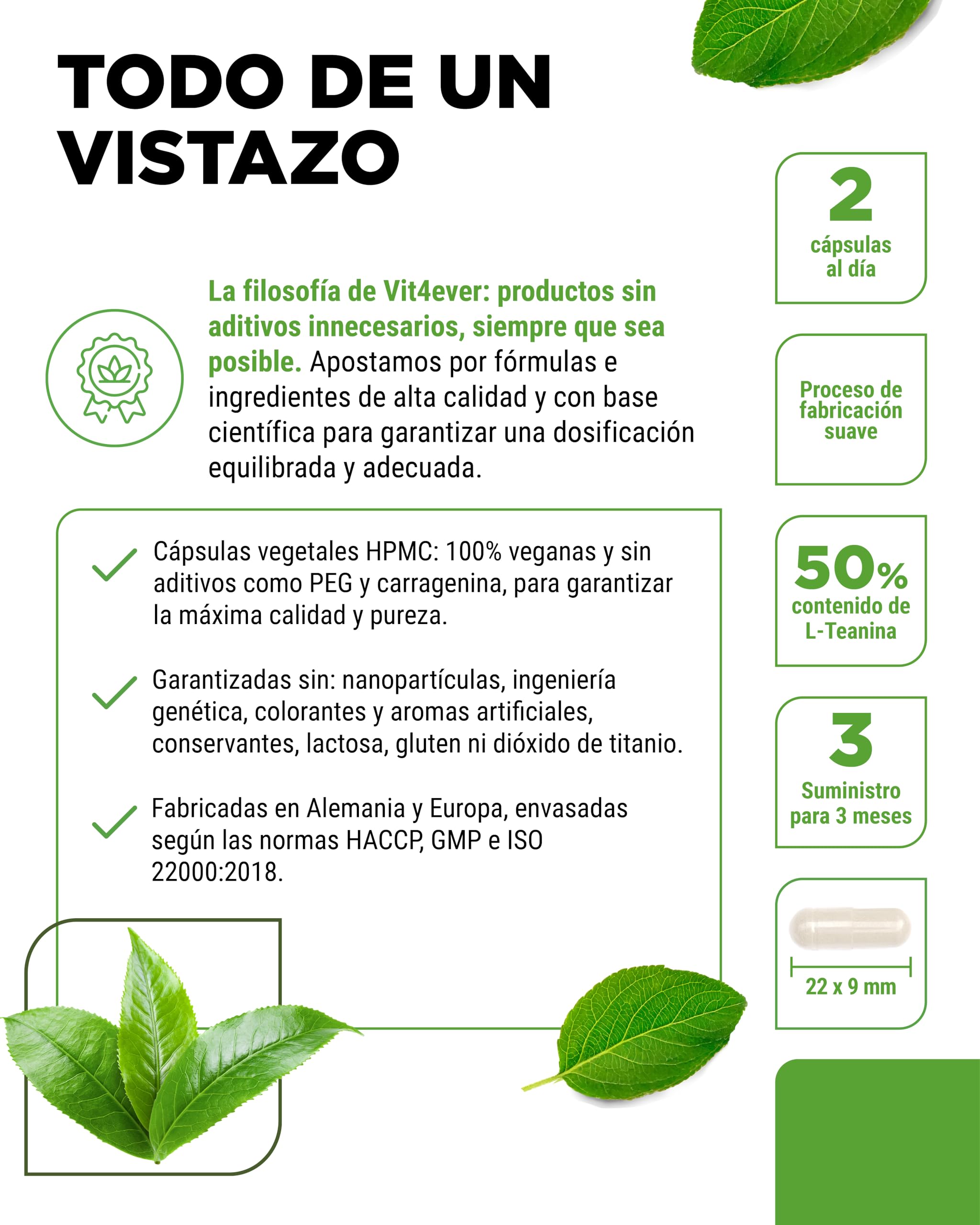 L-Teanina - 180 cápsulas - 750 mg por dosis diaria - De extracto natural de té verde - Alta dosis - Vegano