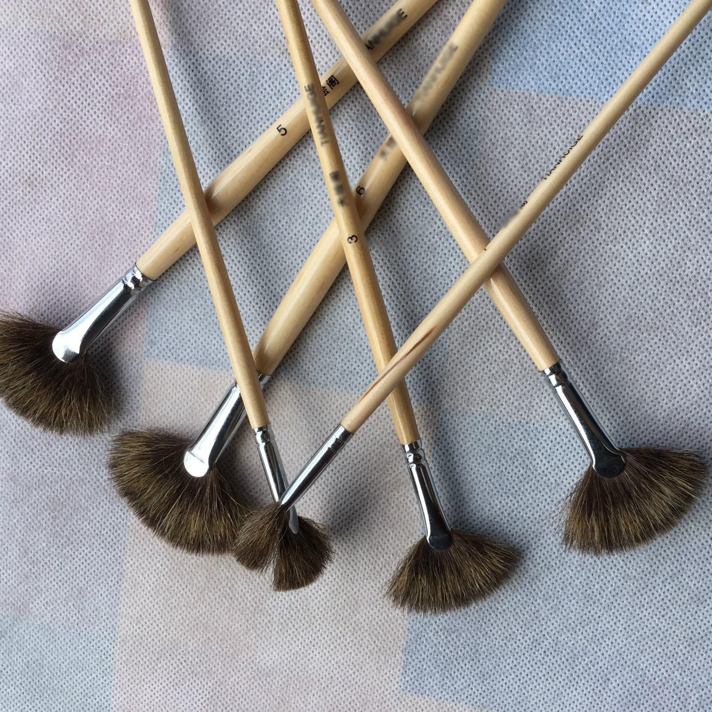 Ensemble de pinceaux pour Aquarelle et Peinture à l'huile en Forme d'éventail avec 6 stylos d'art (Beige comme illustré)