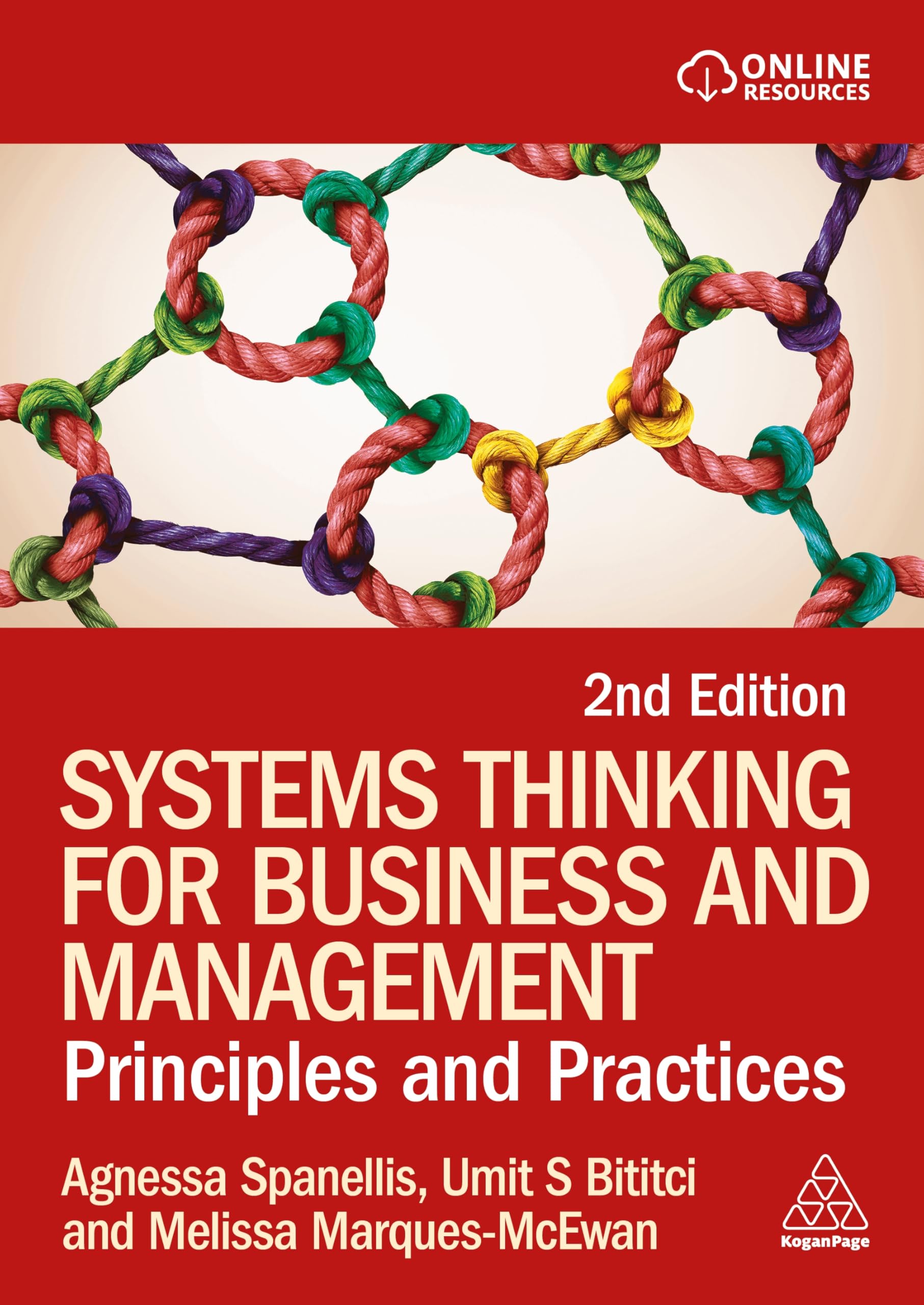 Systems Thinking for Business and Management: Principles and Practice