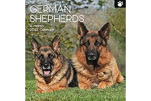2025 Paw Print Themed Wall Calendar for German Shepherds