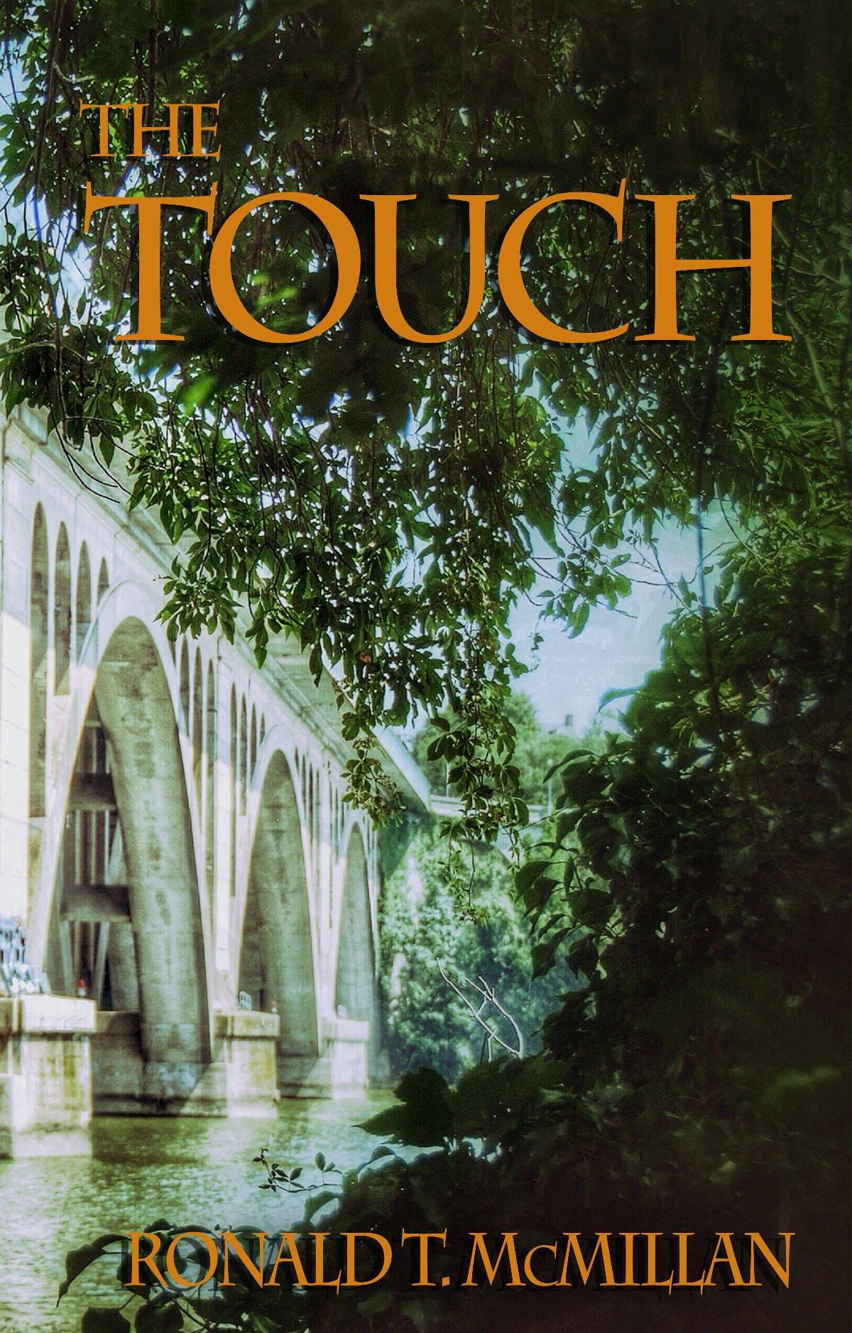 The Touch: 1 (John Wiley - Psychic Detective)