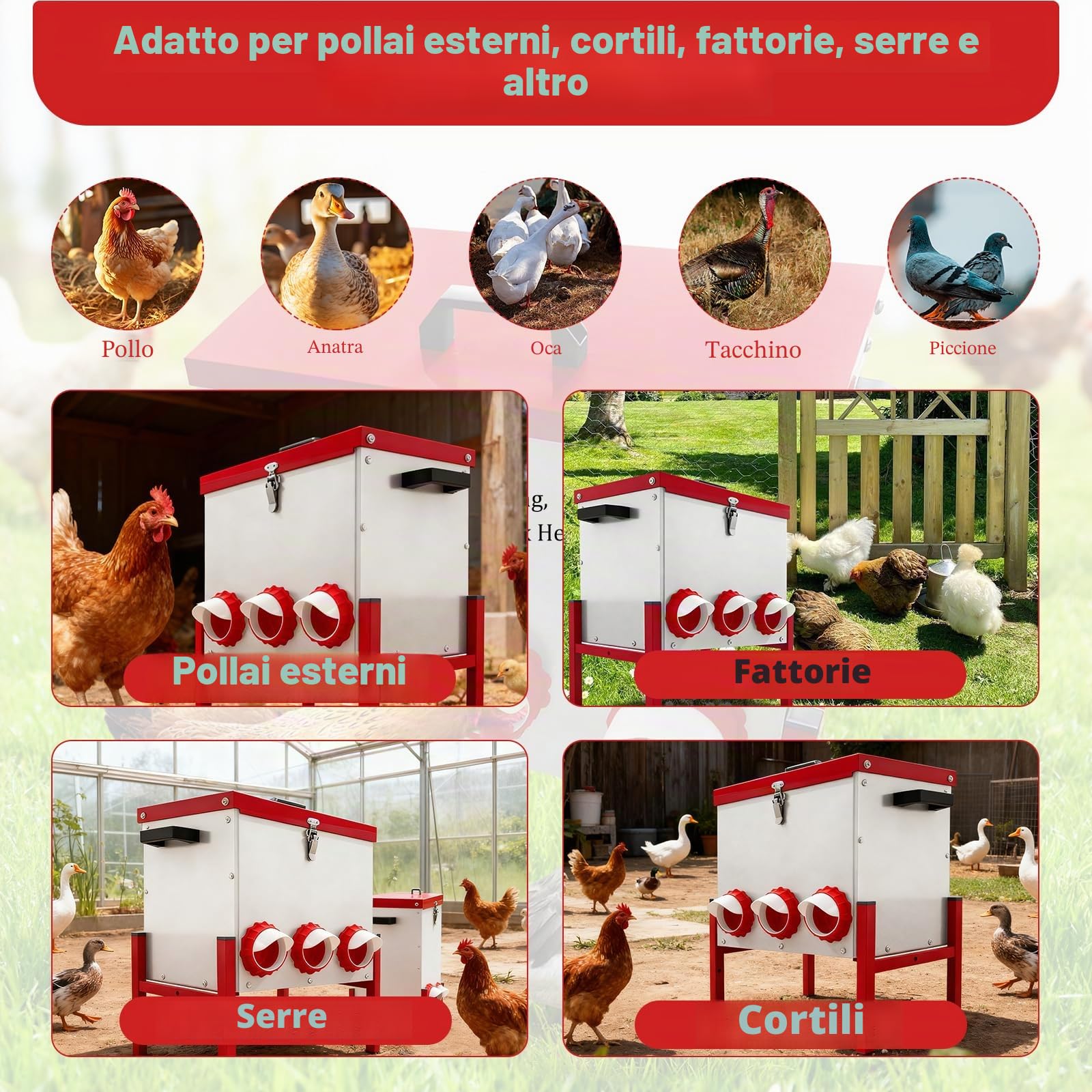 Mangiatoia per Galline Antitopo, Mangiatoia per Galline Grande Capacità 15 KG (33 libbre), Impermeabile e Resistente all'Umidità, con 6 Fori, per Galli/Anche/Oche, per Pollai Esterni/Fattorie/Cortili