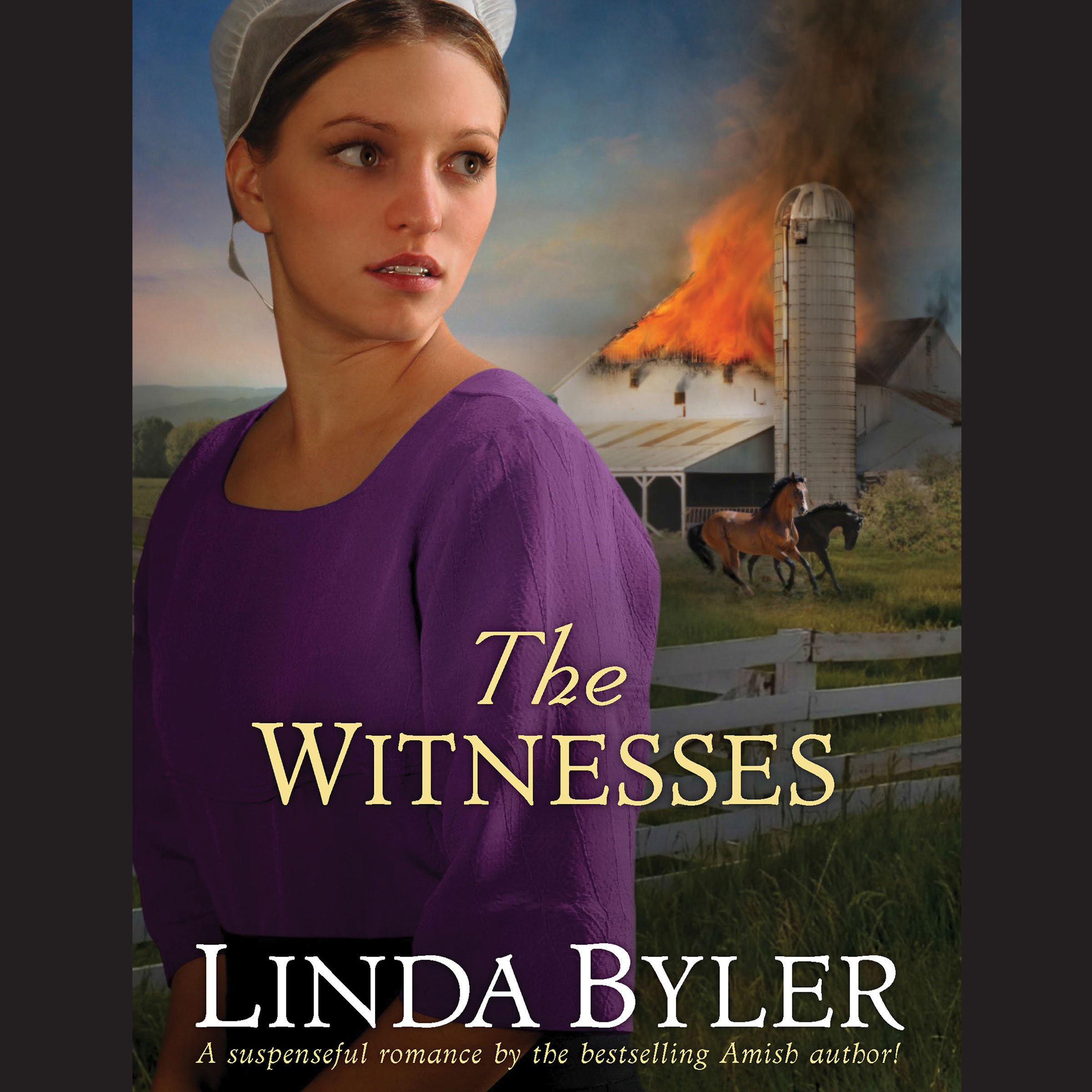 Cover art for The Witnesses