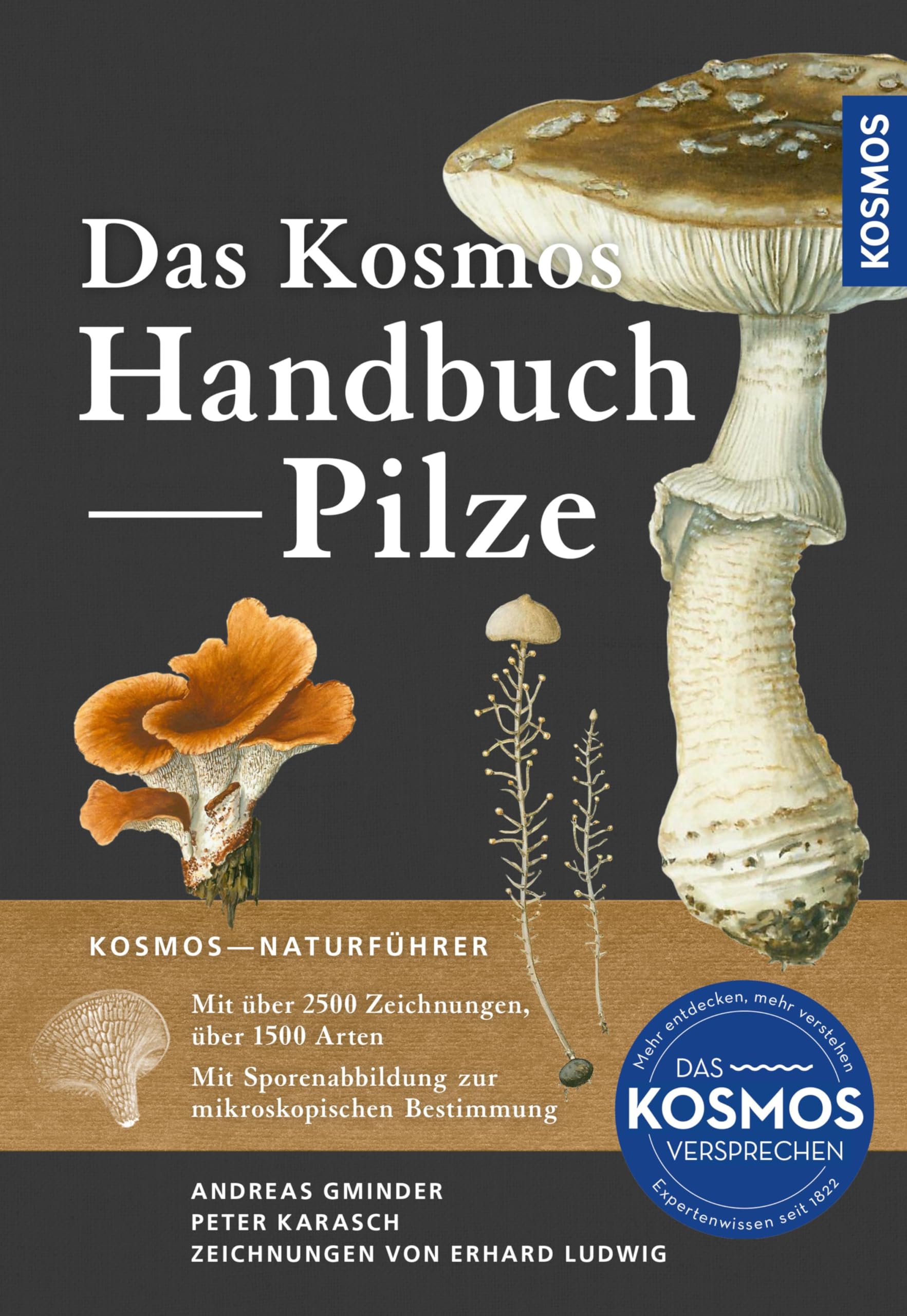 Das Kosmos Handbuch Pilze: Mit über 1200 Zeichnungen. 1400 Arten im Porträt.