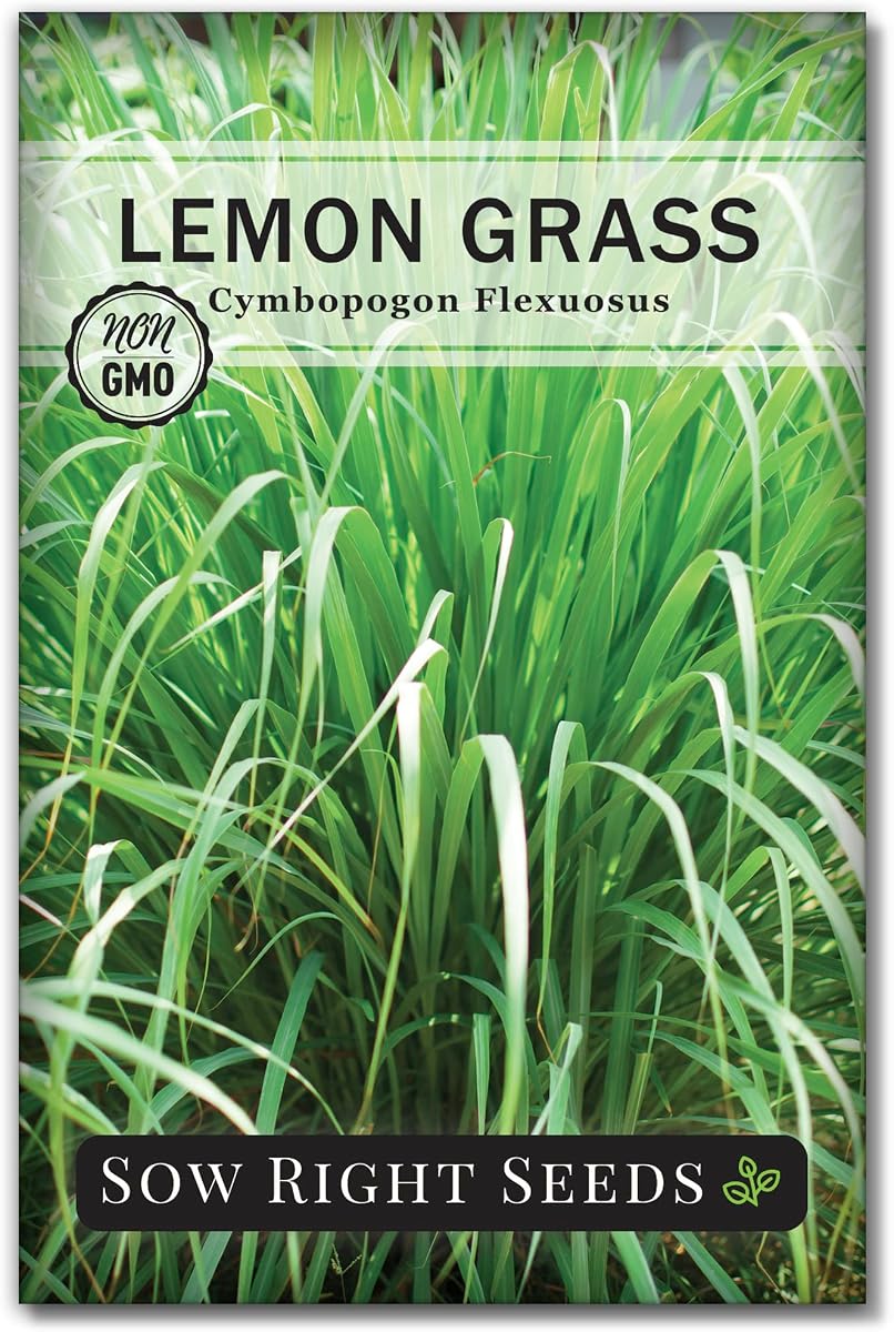 Sow Right Seeds - Lemon Grass Seed for Planting Mosquito Repellent Herbs | Plant East Indian non-GMO heirloom herb variety outdoors. Pest deterrent lemongrass for outside home garden and Asian dishes.