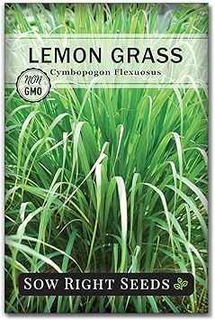 Sow Right Seeds - Lemon Grass Seeds for Planting - Non-GMO Heirloom - East Indian - Mosquito Repellent - Ideal for Outdoors - Easy to Grow Lemongrass - Garden Herb for Culinary and Fragrant Use 1