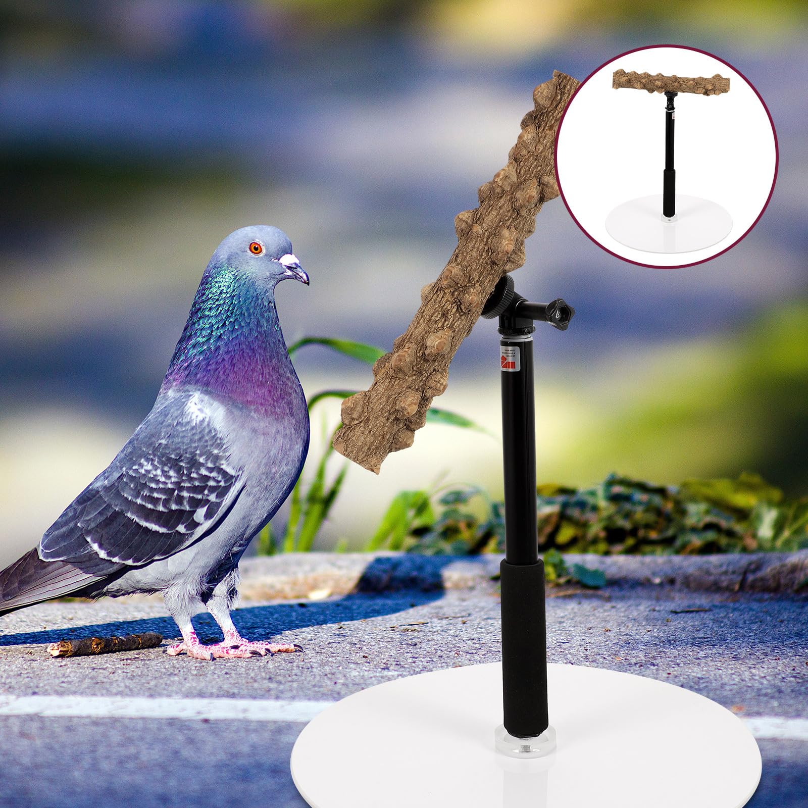 Verstellbare Vogelstange und Metall mit Stabiler Basis und Rauer Oberfläche für Papageien zum Training und Spielen im Vogelkäfig