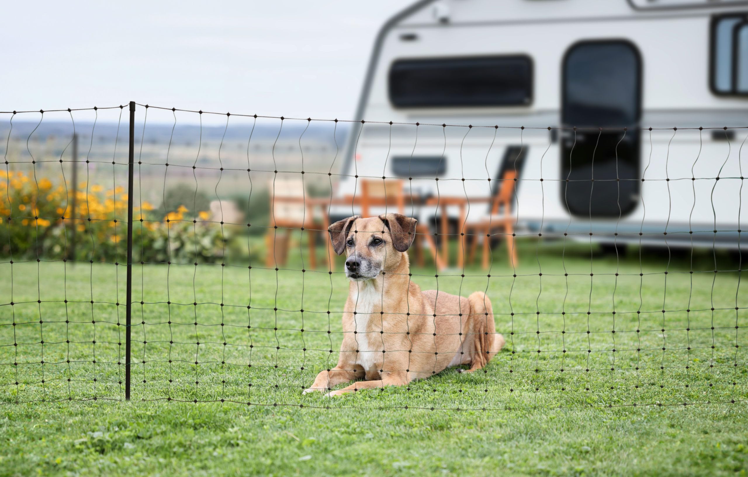 KERBL PET CampingNet, zielony, w zestawie torba 80 cm, SS, 20 m