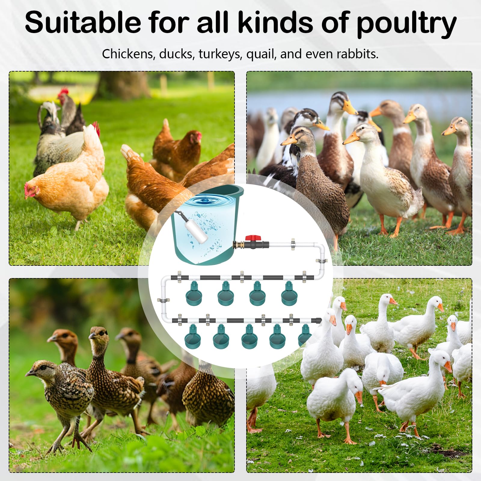 Bebedero para Gallinas, Bebedero Automático para Aves de Corral y Taladro Agua para Pollos con 9 bebederos y 10 Tubos de Agua Kit para Aves Palomas Pollos Suministros Comedero de Pollo (Sin Balde)