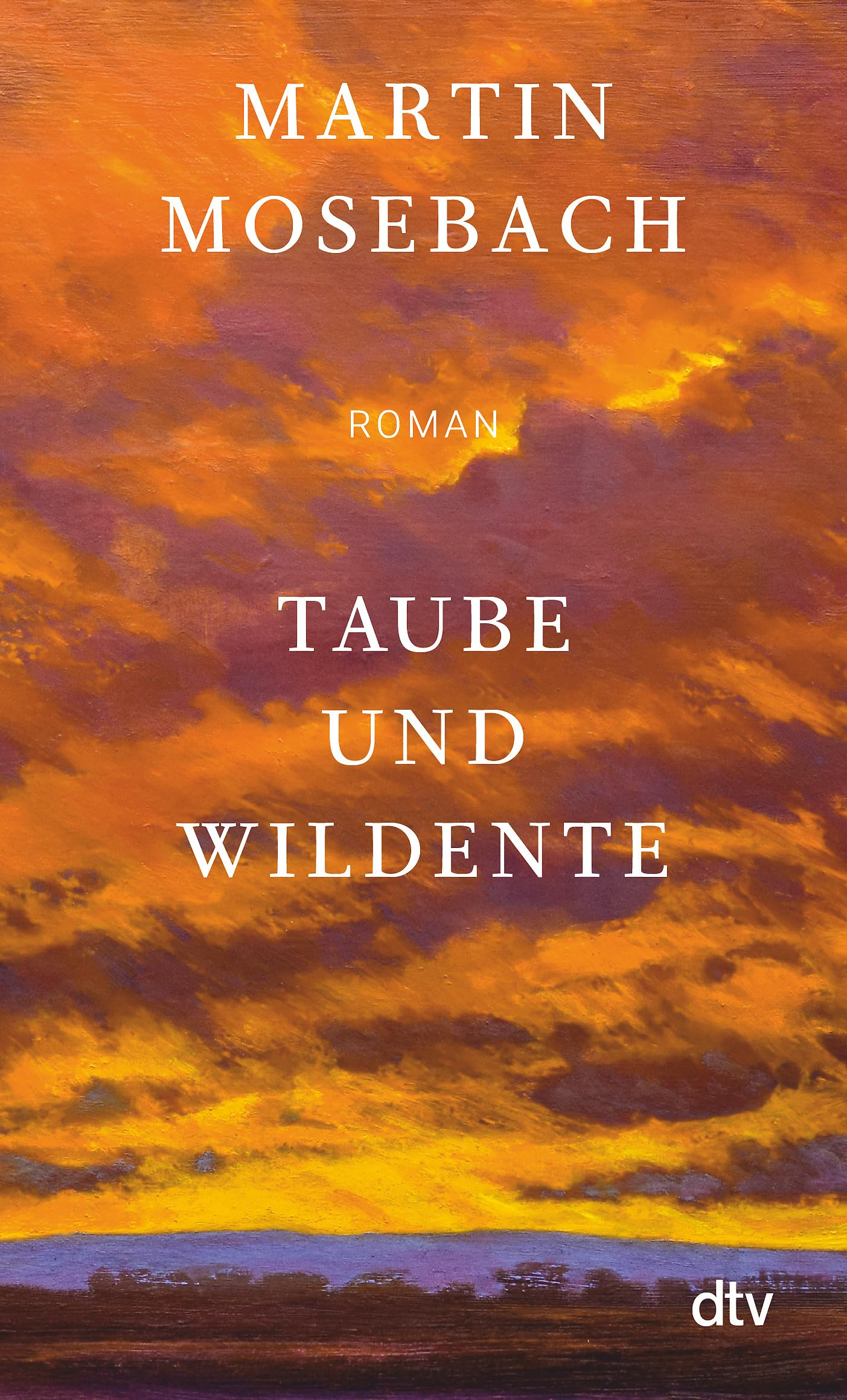 Taube und Wildente: Roman | »Ein unerhörtes Stück Literatur über Liebe, Kunst und Verrat samt glorioser Pointe.« Tobias Haberl, Süddeutsche Zeitung