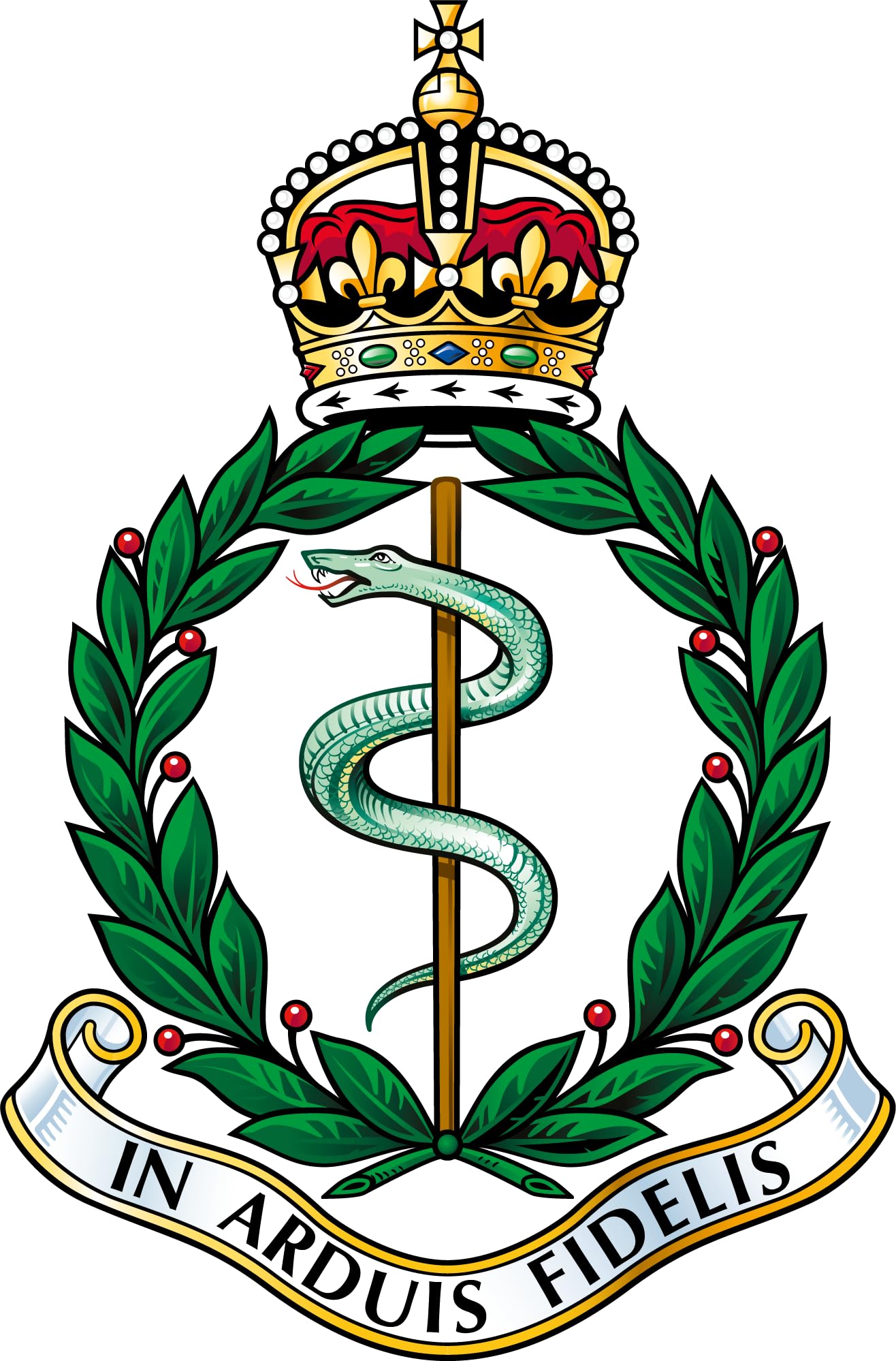 Royal Army Medical Corps Tudar Crown (SK14) Military Waterproof Vinyl Stickers Decal RAMC Veteran Squaddie Army 150mm x 100mm