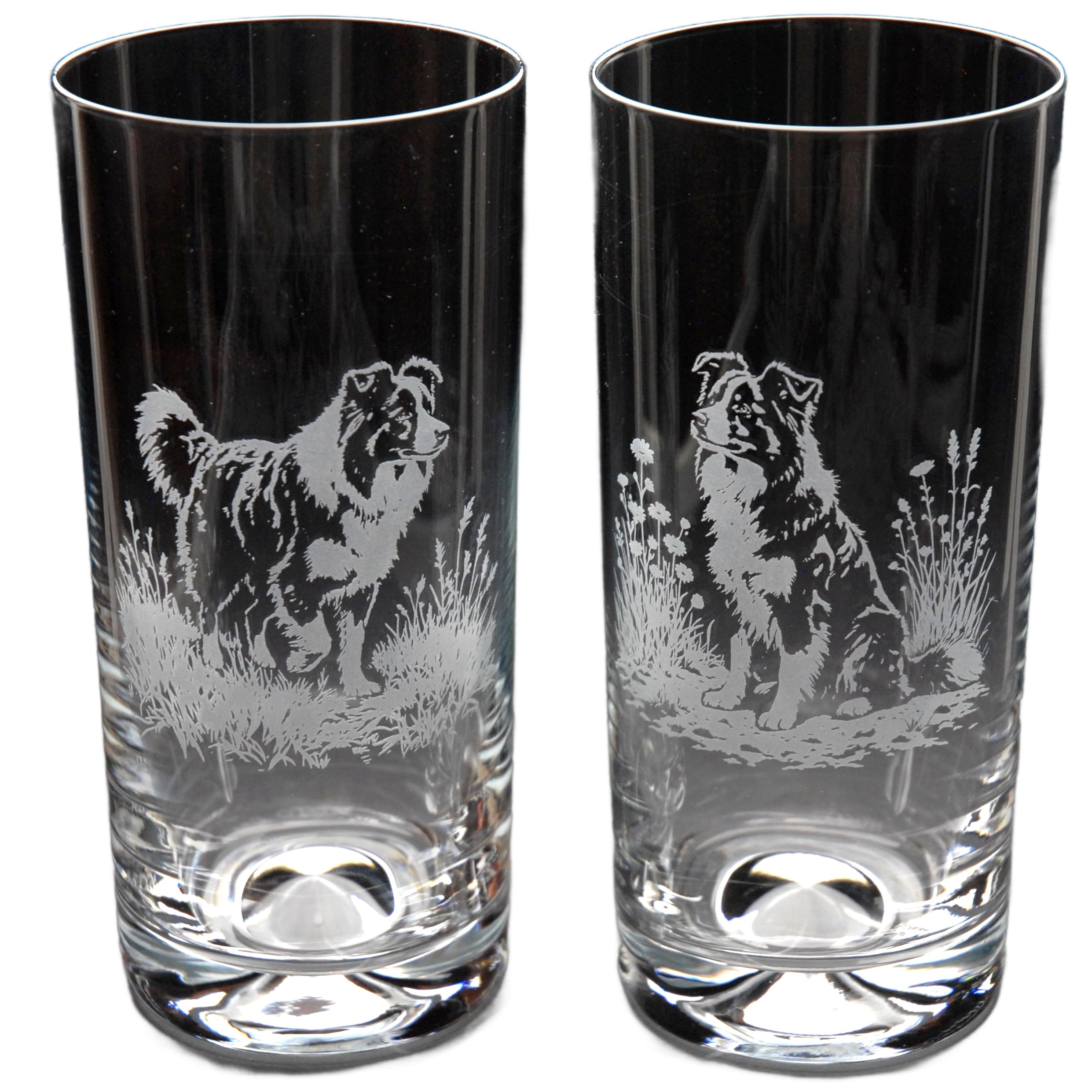 GLYPTIC Glass Art Border Collie Dog Placement Hand Etched/Engraved Highball Glass