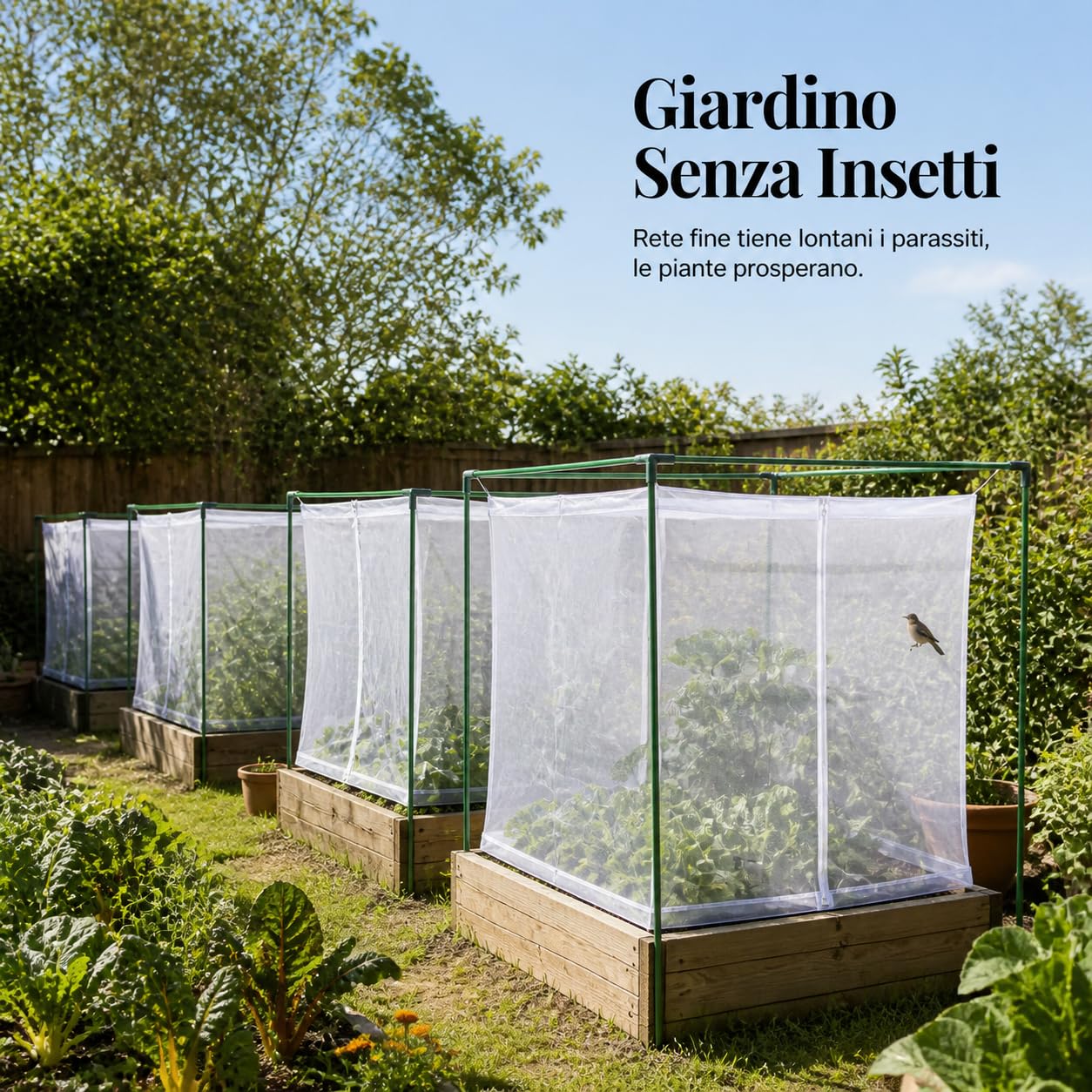 Filet Protection Plantes