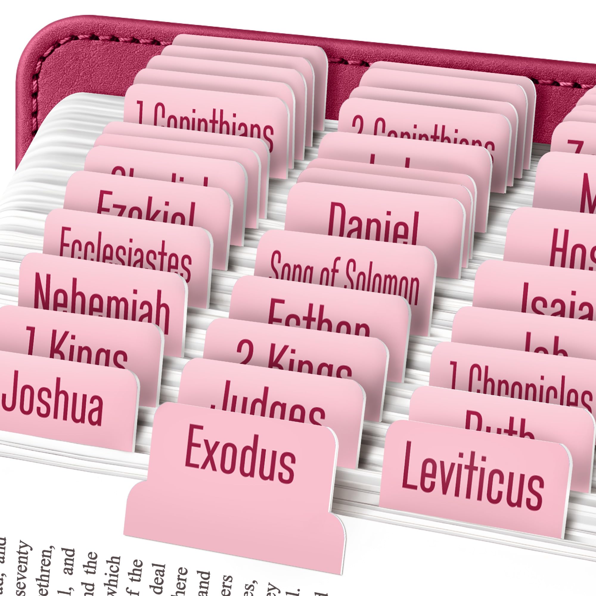 EssexWares - Blush Pink Bible Tabs for Old and New Testament, 80 Large Print Tabs for Bible Study, Water-Resistant and Durable Index Tabs for Women and Men - 1.7" Wide