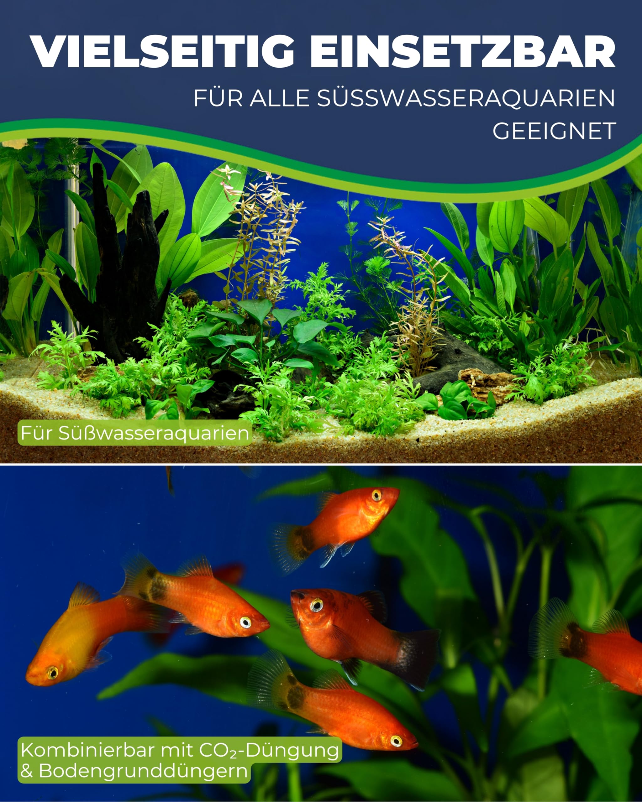 HOBBY Aquaristik Plant Fit I 500 ml I Flüssigdünger für Aquarienpflanzen I ohne Nitrat & Phosphat I Fördert gesunden Wuchs und kräftige Farben I Pflanzenvolldünger mit langanhaltender Wirkung