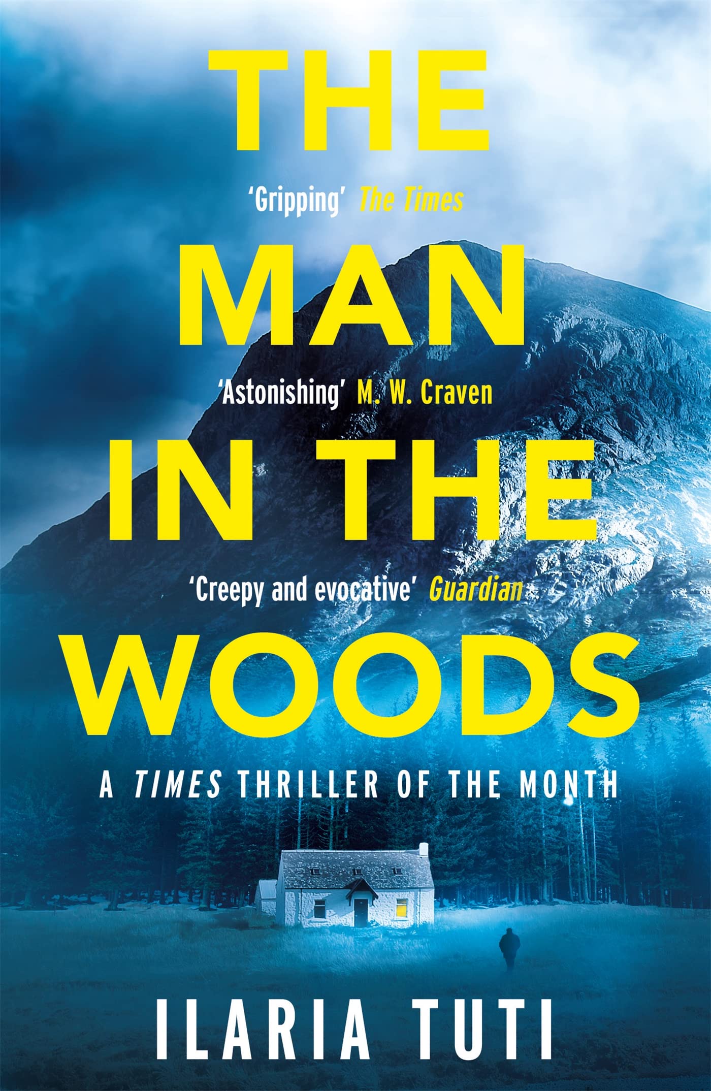 The Man in the Woods: A secluded village in the Alps, a brutal killer, a dark secret hiding in the woods (A Teresa Battaglia thriller)