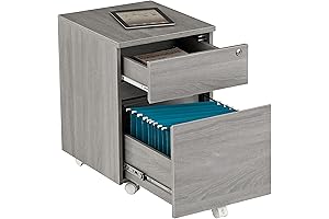 Vertical Filing Cabinet with Rolling Lock and Storage 2 Drawers (Grey)