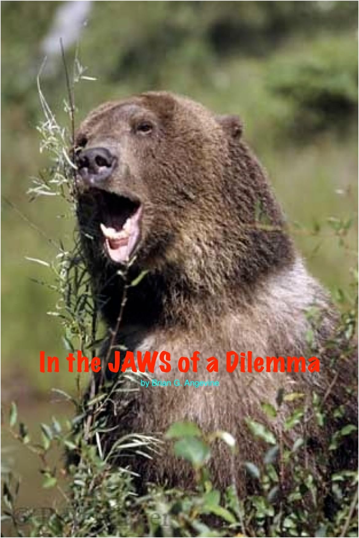 In the Jaws of a Dilemma (Randy Waters, Game Warden Book 1)