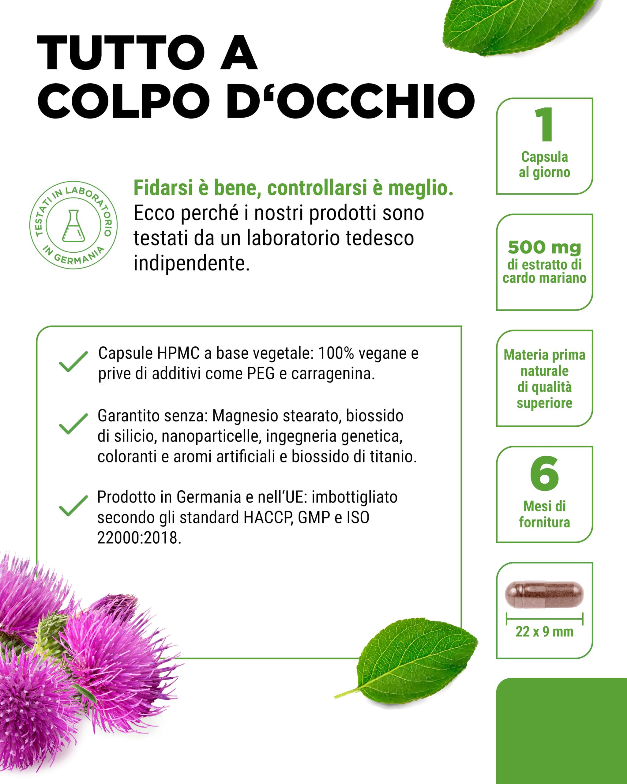 Estratto di cardo mariano 180 capsule da 500 mg ciascuna - 80% contenuto di silimarina - Fornitura per 6 mesi - Altamente dosato - Vegan