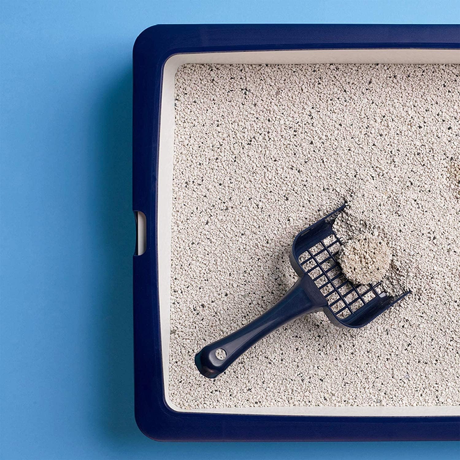 Catsan Active Fresh Lettiera Agglomerante per Gatti, Efficace Controllo Odori, 8 Litri