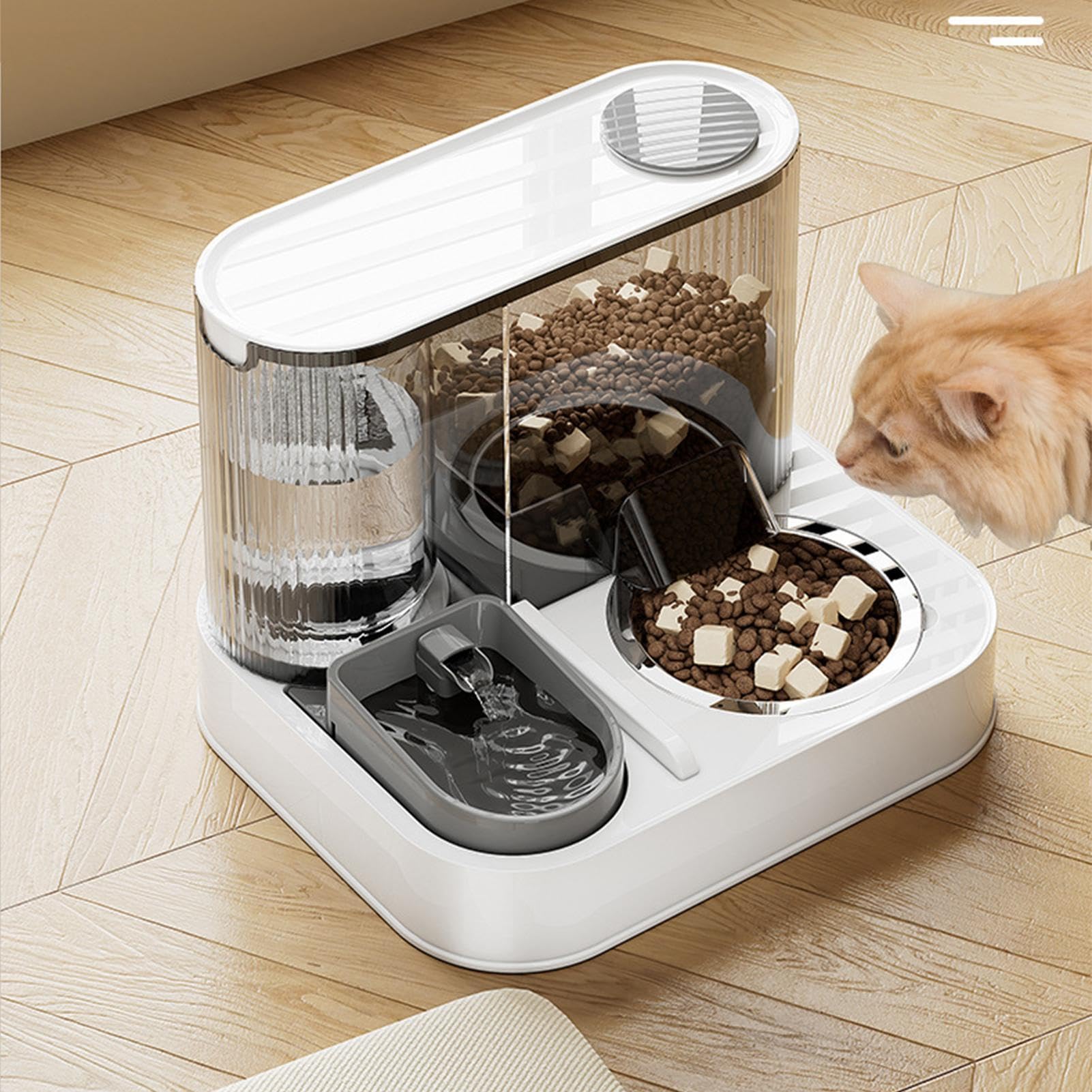 automático para gatos, automático para gatos