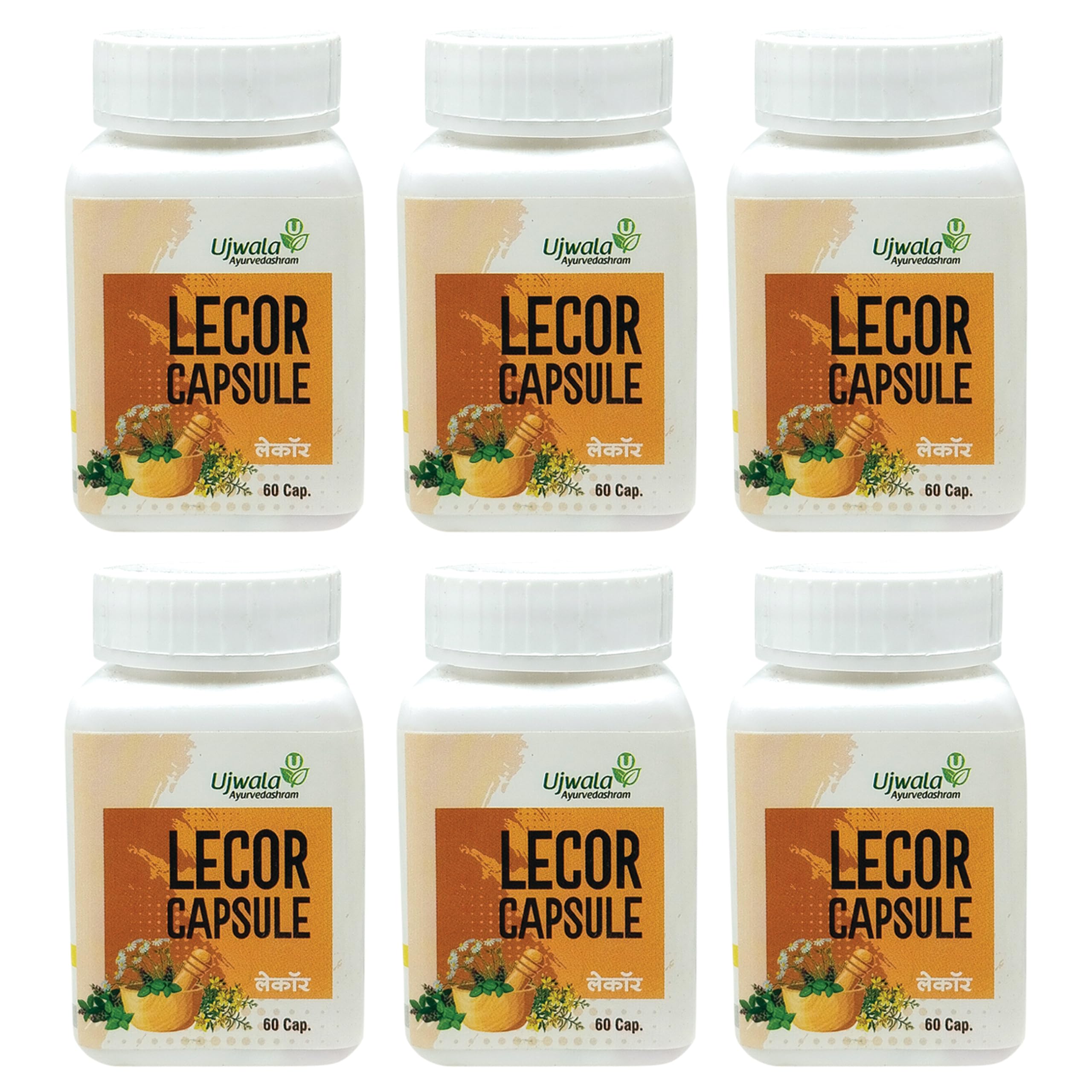 Lecor Capsule Pack of 6 (60 Cap) I Ayurvedic Medicine for Vitiligo I Leukoderma Treatment I Need to use with Combination of Livcon Capsule and Lecor Oil (B0CQM8YSV4) Amazon Price History, Amazon Price Tracker