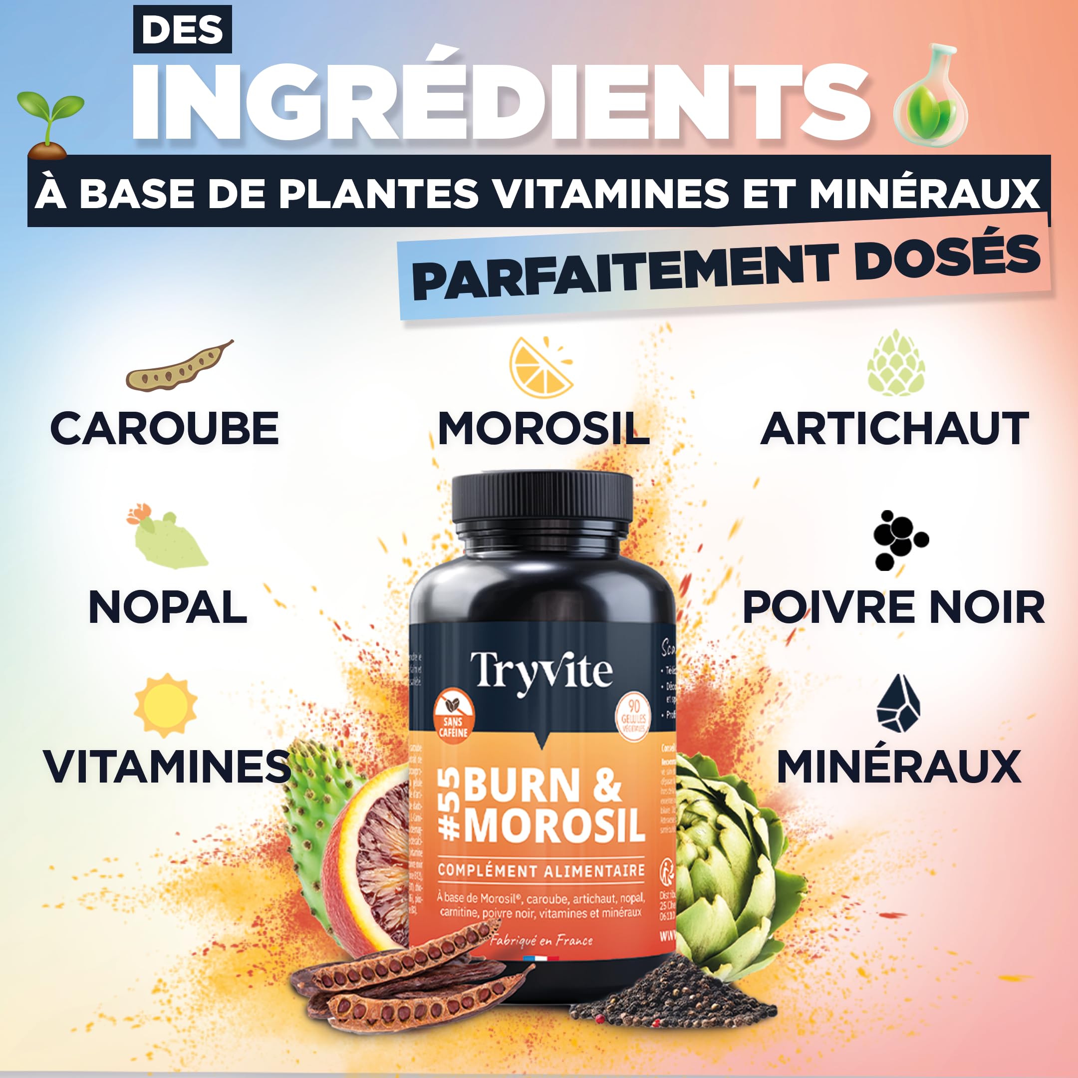 TRYVITE | Morosil, Caroube, Artichaut, Nopal | SANS CAFEINE 90 gélules | Fabriqué en France