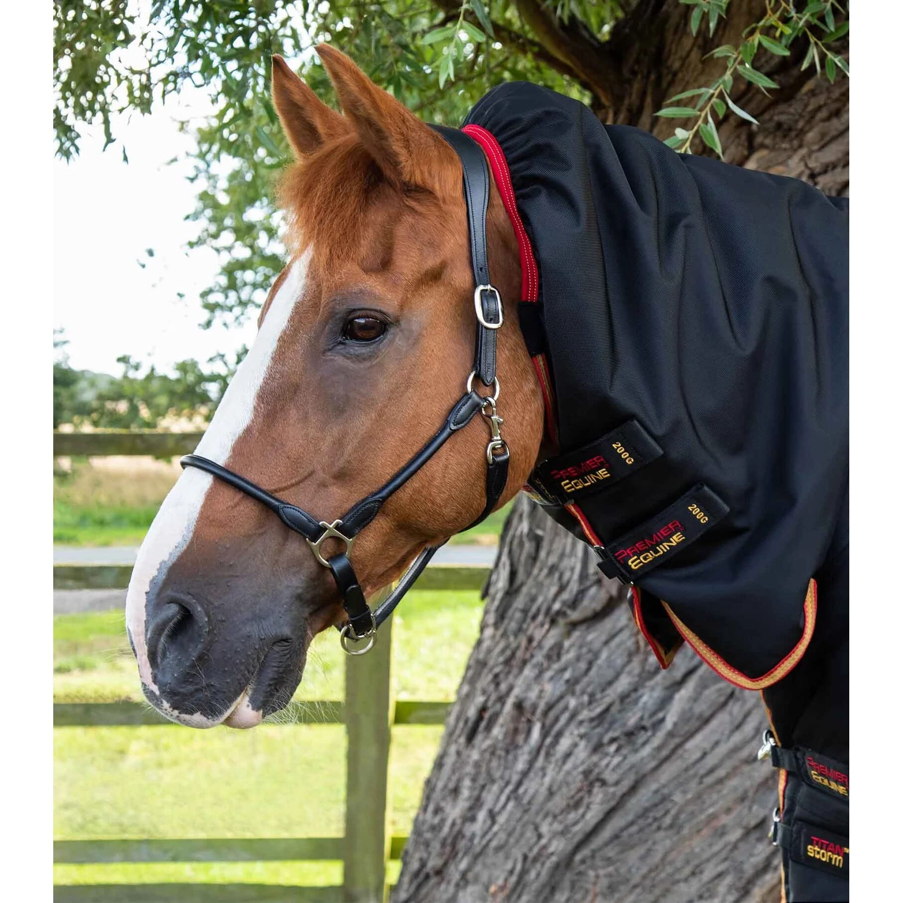 Premier Equine Manta de Exterior para Caballos con cubrecuello Titan Storm 450 g