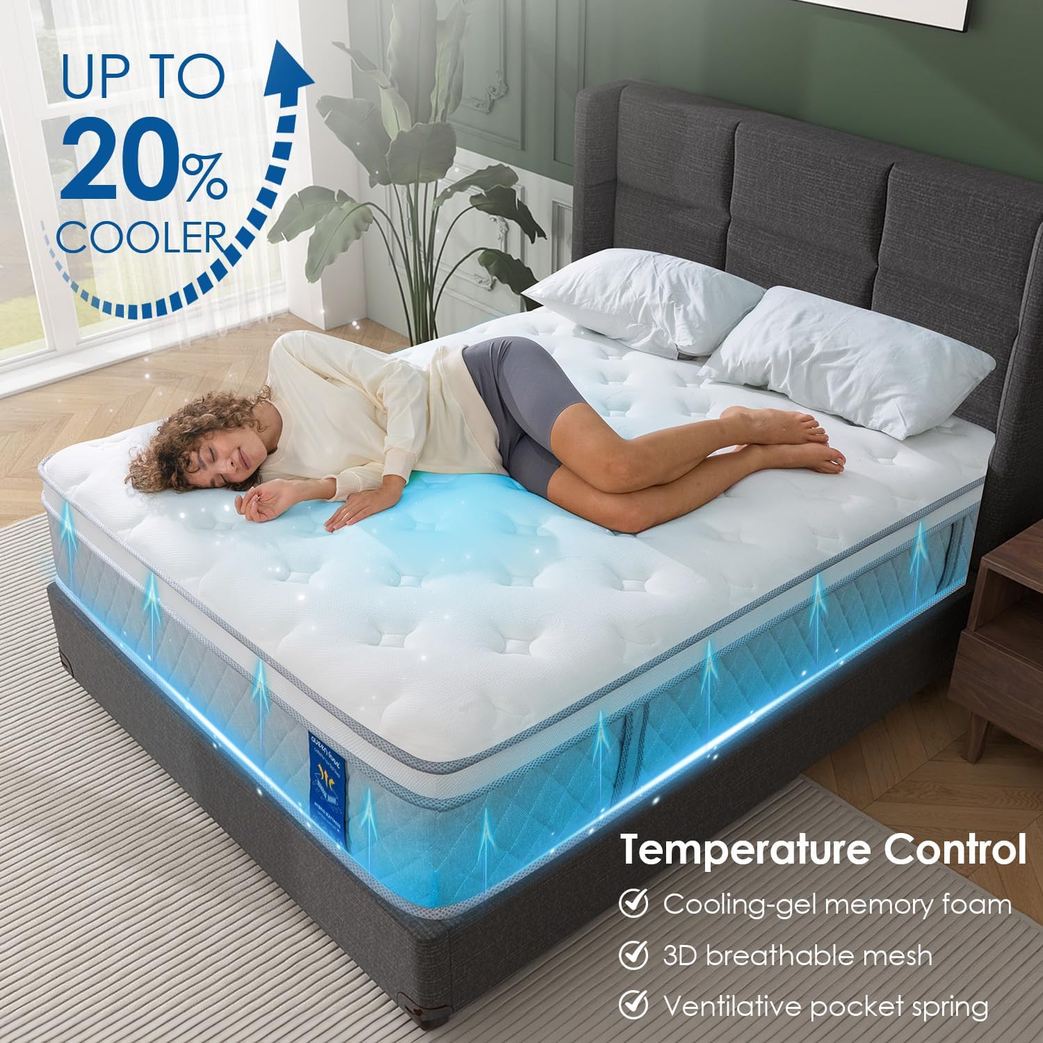 Queen Hybrid Mattress in a Box, 12 Inch Memory Foam Mattress, Medium Firm, Pressure Relief & Motion Isolation, 5-Zone Pocket Springs, Cooling, CertiPUR-US & Oeko-TEX Certified, Fiberglass-Free