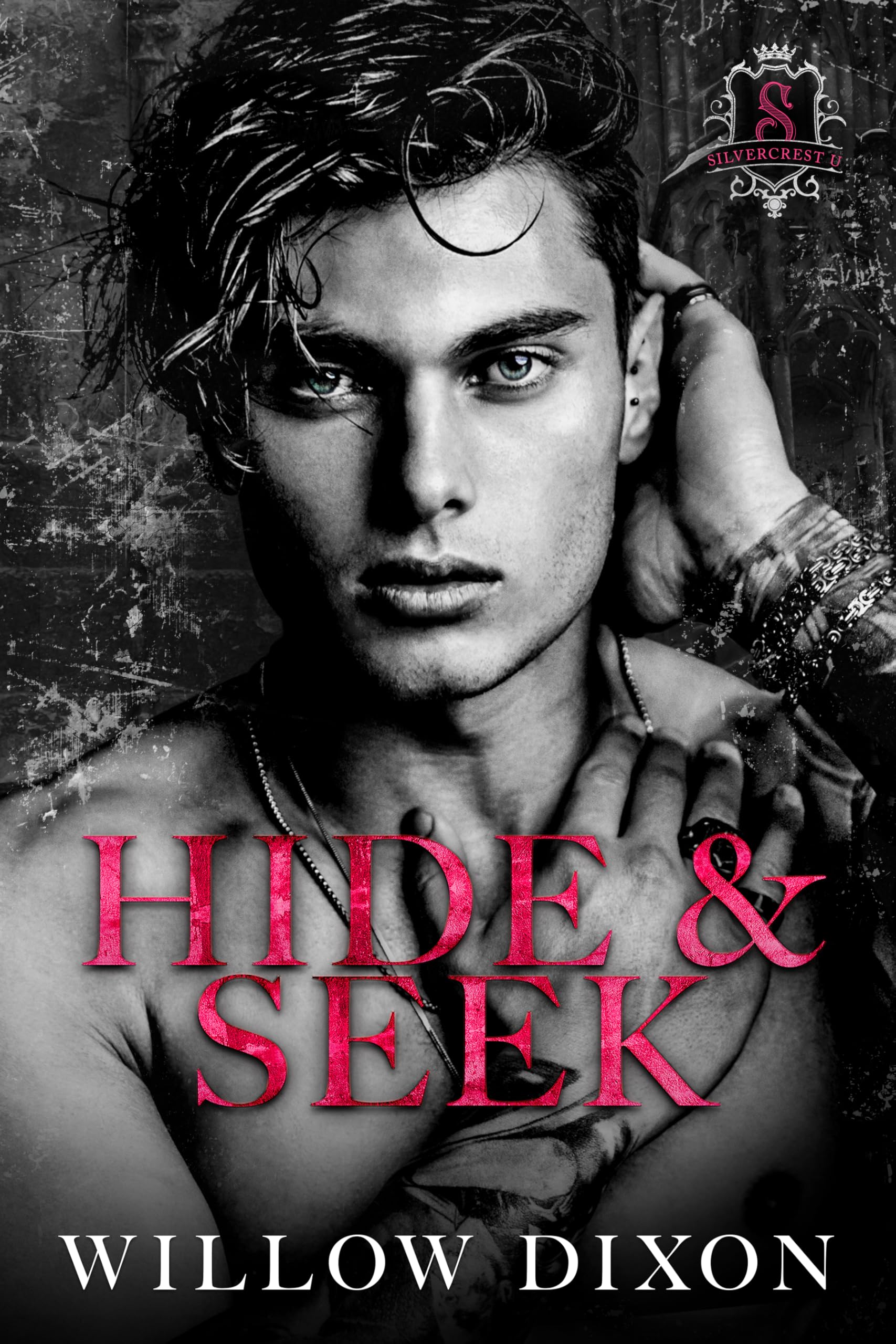 Hide and Seek (Silvercrest U Book 2)