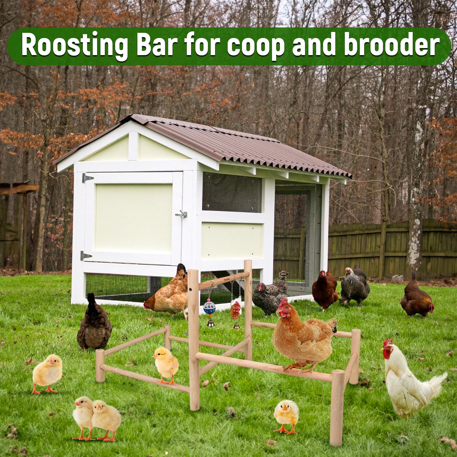 Chicken Roosting Perch Chick Perch With Mirror - Wooden Pine Chicken ...