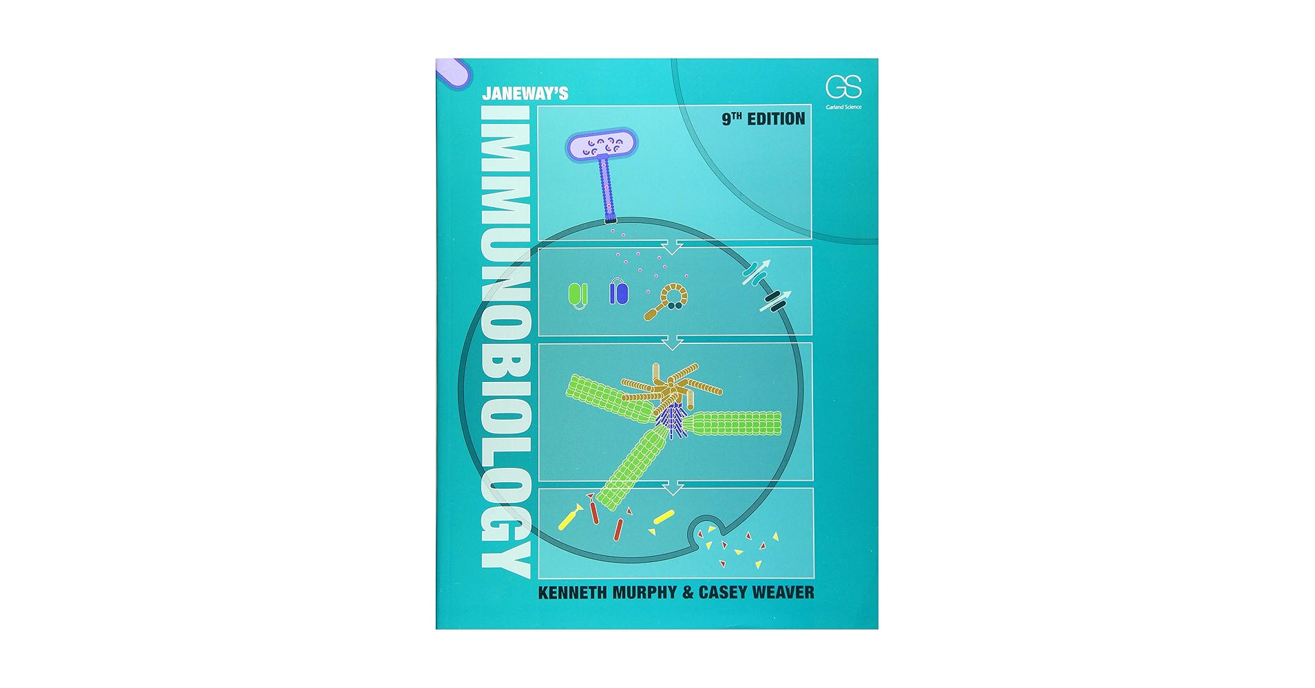 JANeway's Immunobiology 第9版(裁断済み) Janeway's Immunobiology: 9780815345510: Medicine & Health