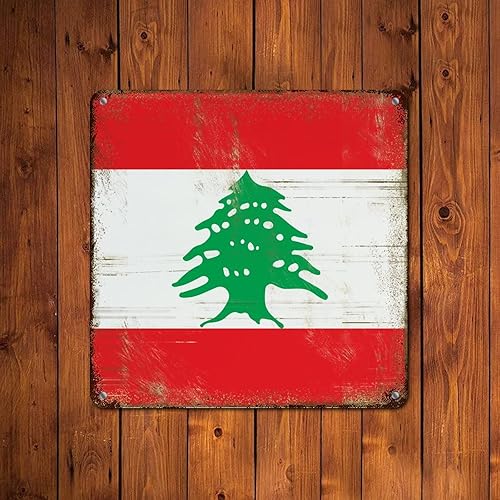 Vista 24 de Letrero de metal con bandera de país internacional, bandera de Polonia, regalo de bandera de Polonia, letreros de aluminio envejecidos