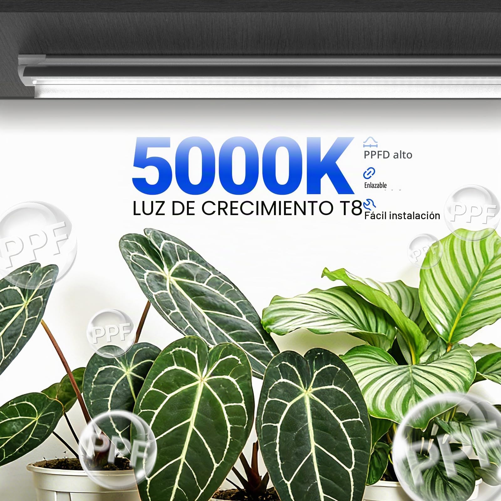 Barrina T8 Lámpara para plantas, 168 W (4 x 42 W), 5000 K, espectro completo, 119 cm, 4 unidades | Luz de crecimiento LED, luz vegetal en forma de V, 4 pies concatenables luces para plantas de interior, PPFD alto