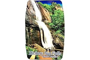 Hickory Nut Falls North Carolina Artwood Fridge Magnet