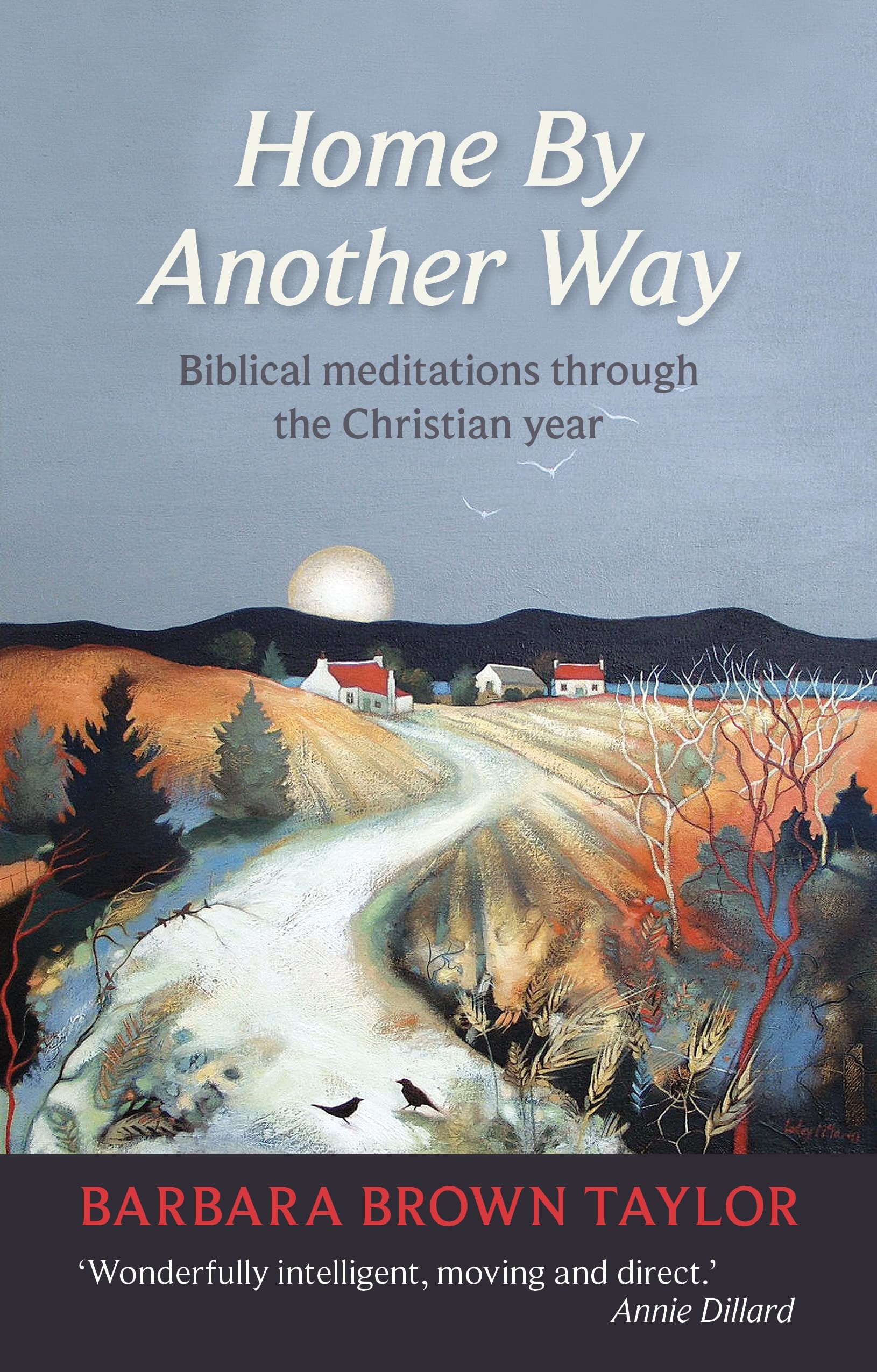 Home by Another Way: Biblical Meditations Through the Christian Year