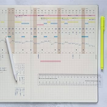 Amazon.co.jp: ラコニック 手帳 2025年 A4 マンスリー ガントチャート