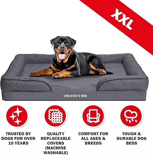 Miniatura 2 de The Dog's Bed, cama ortopédica impermeable de espuma estándar para perros con soporte estándar, XXL gris con ribete negro, impermeable, cama de