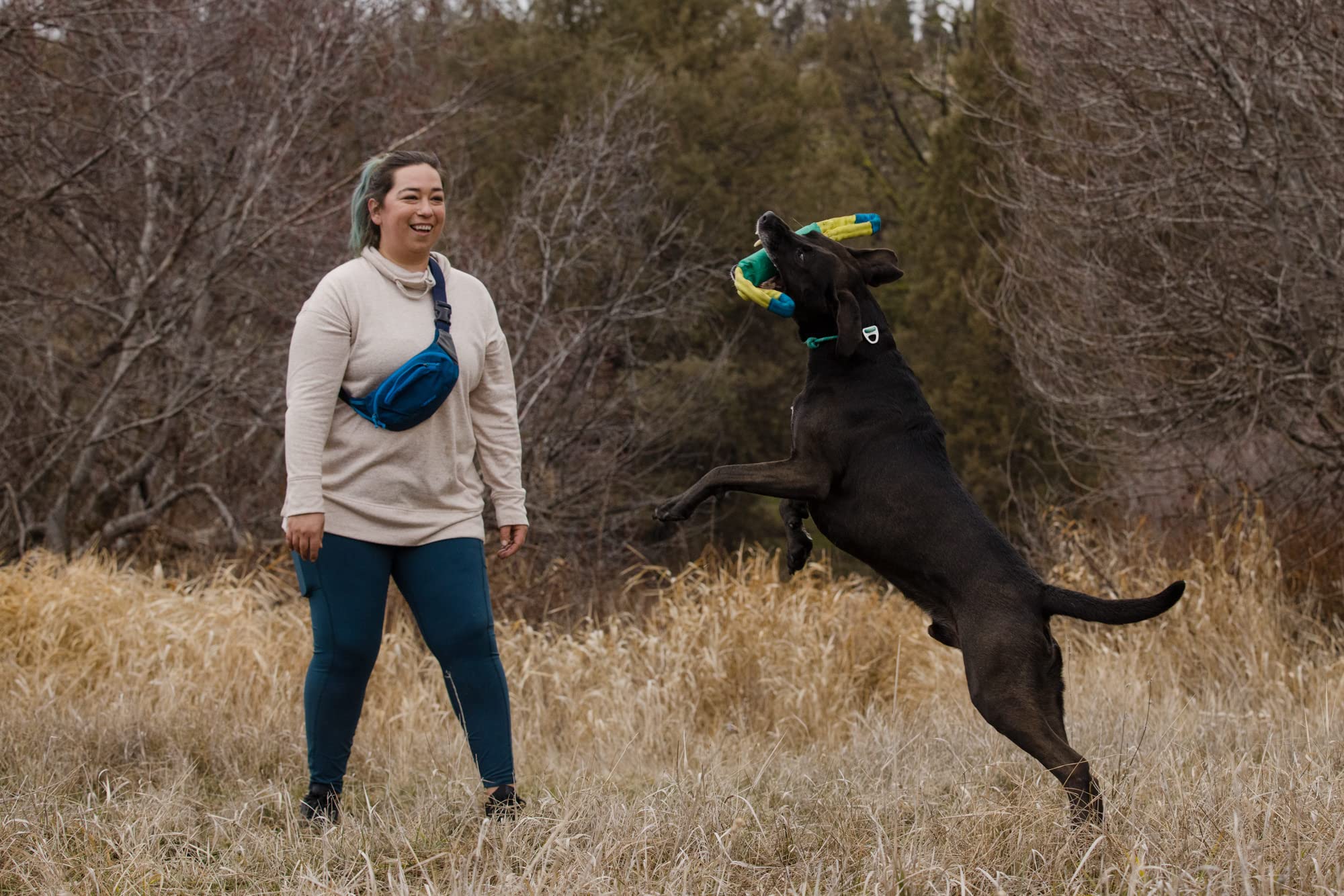 Ruffwear, Pacific Loop - Giocattolo interattivo per cani, colore: foglia di tè