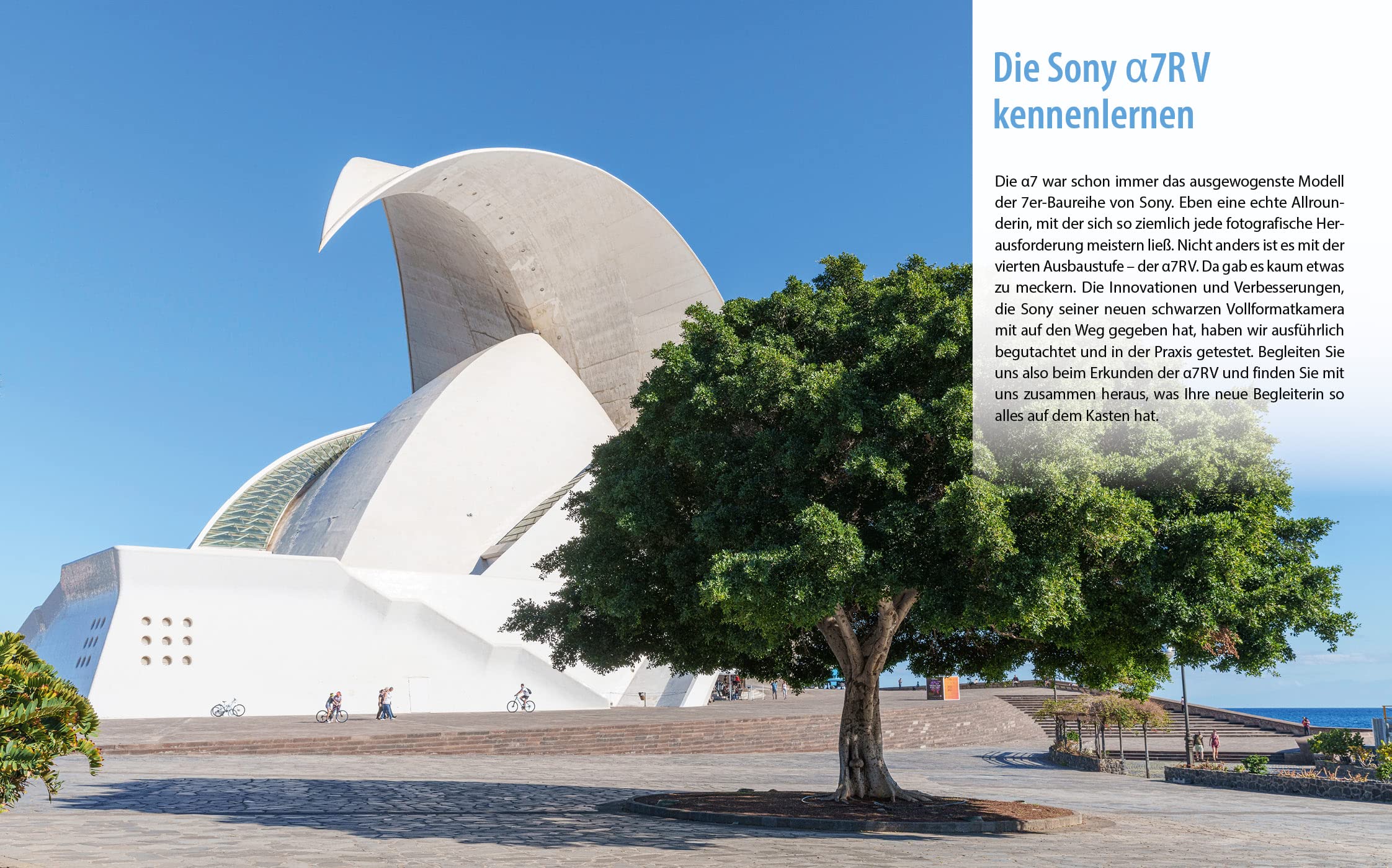 Sony A7R V: Das umfangreiche Praxisbuch zu Ihrer Sony alpha 7R V Kamera! Know-how und Expertentipps für erstklassige Bilder - so beherrschen Sie Ihre Profi-Kamera!