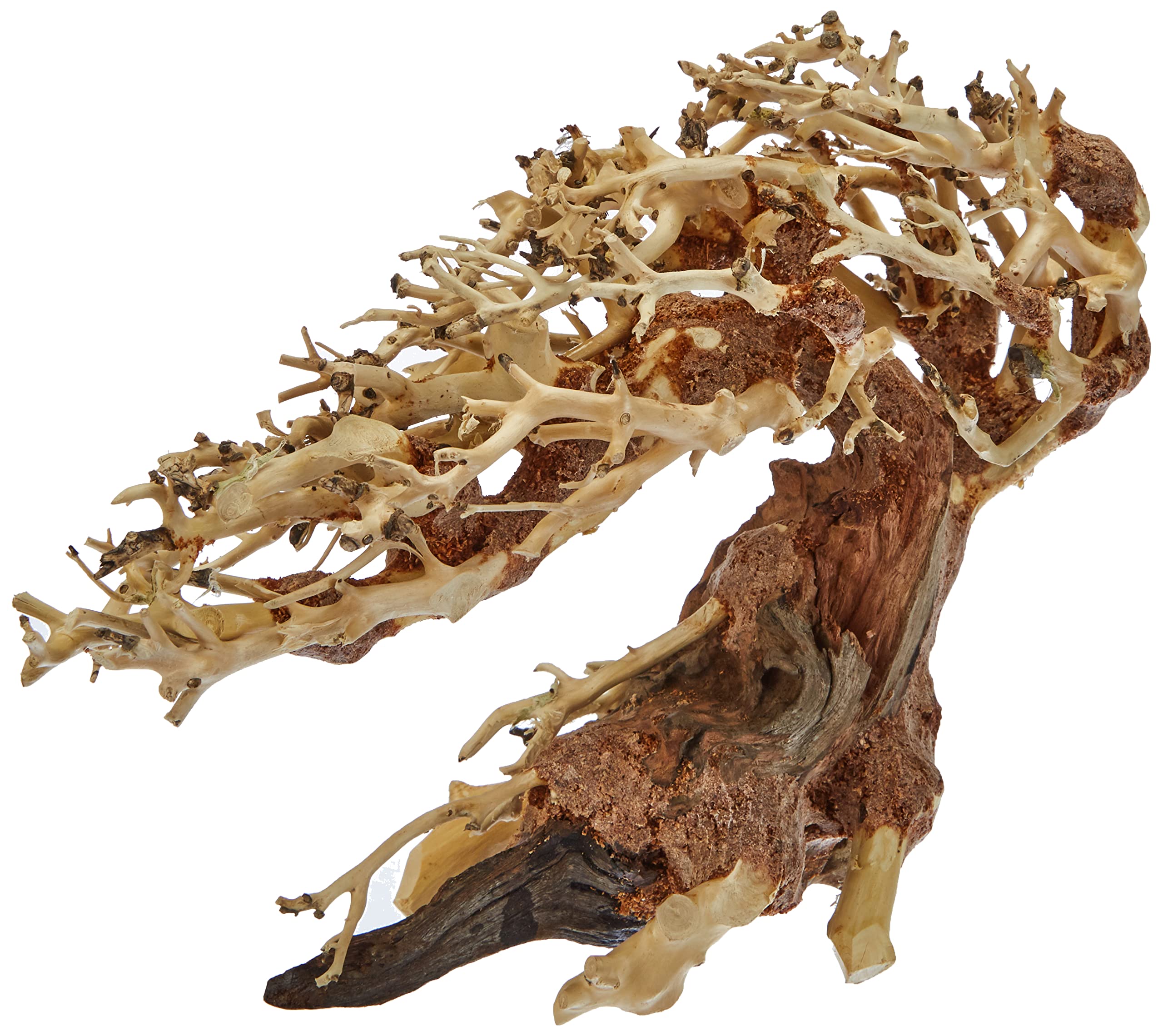 Amtra A8147651 Holz Oriental Wind 3, S