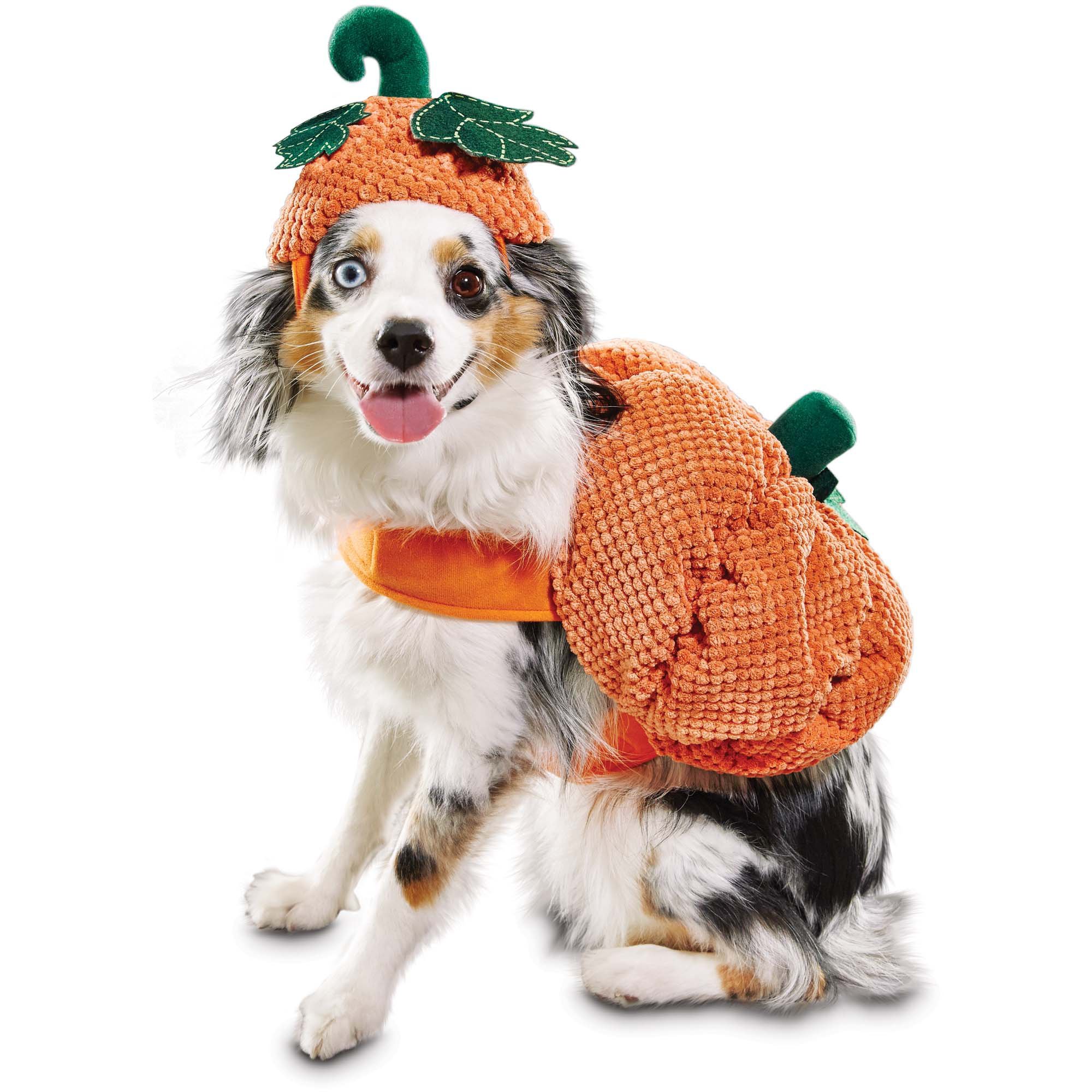 BootiquePumpkin Dog Costume, X-Small