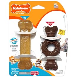 Nylabone Ring Bone Chew Toy for Puppies, Puppy Teething Toys, Puppy Enrichment Toys, Chicken Flavor, X-Small Dogs - Up to 15 lbs, 2 Pack